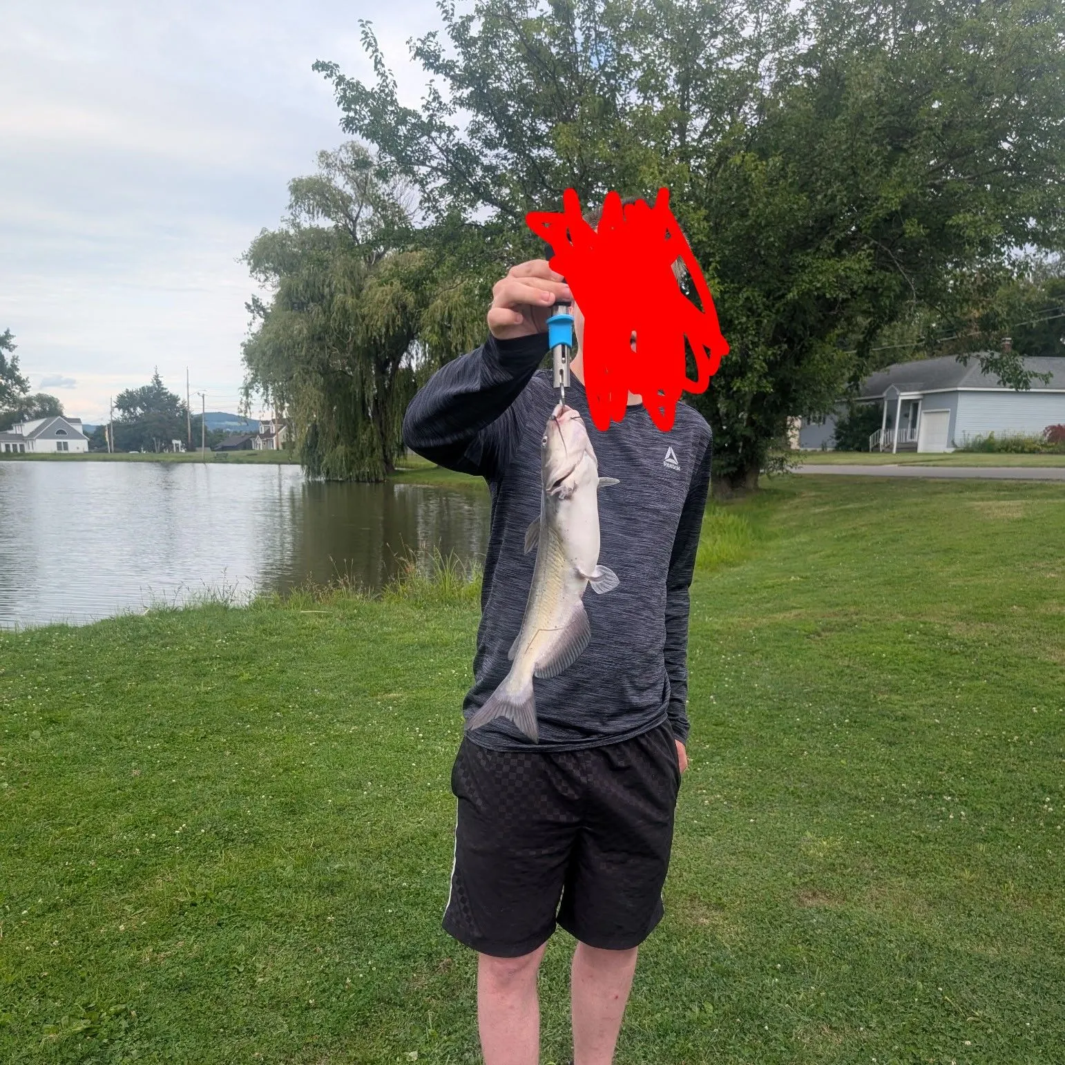 Channel catfish caught on Fishbrain