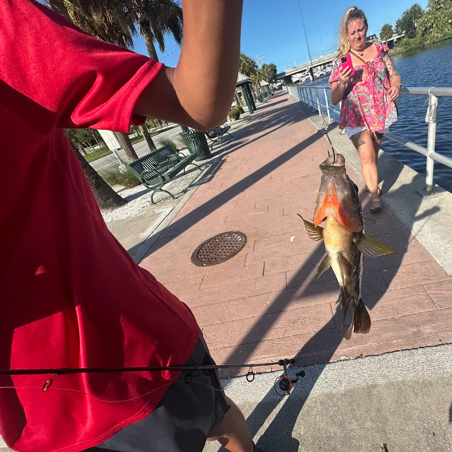 catch