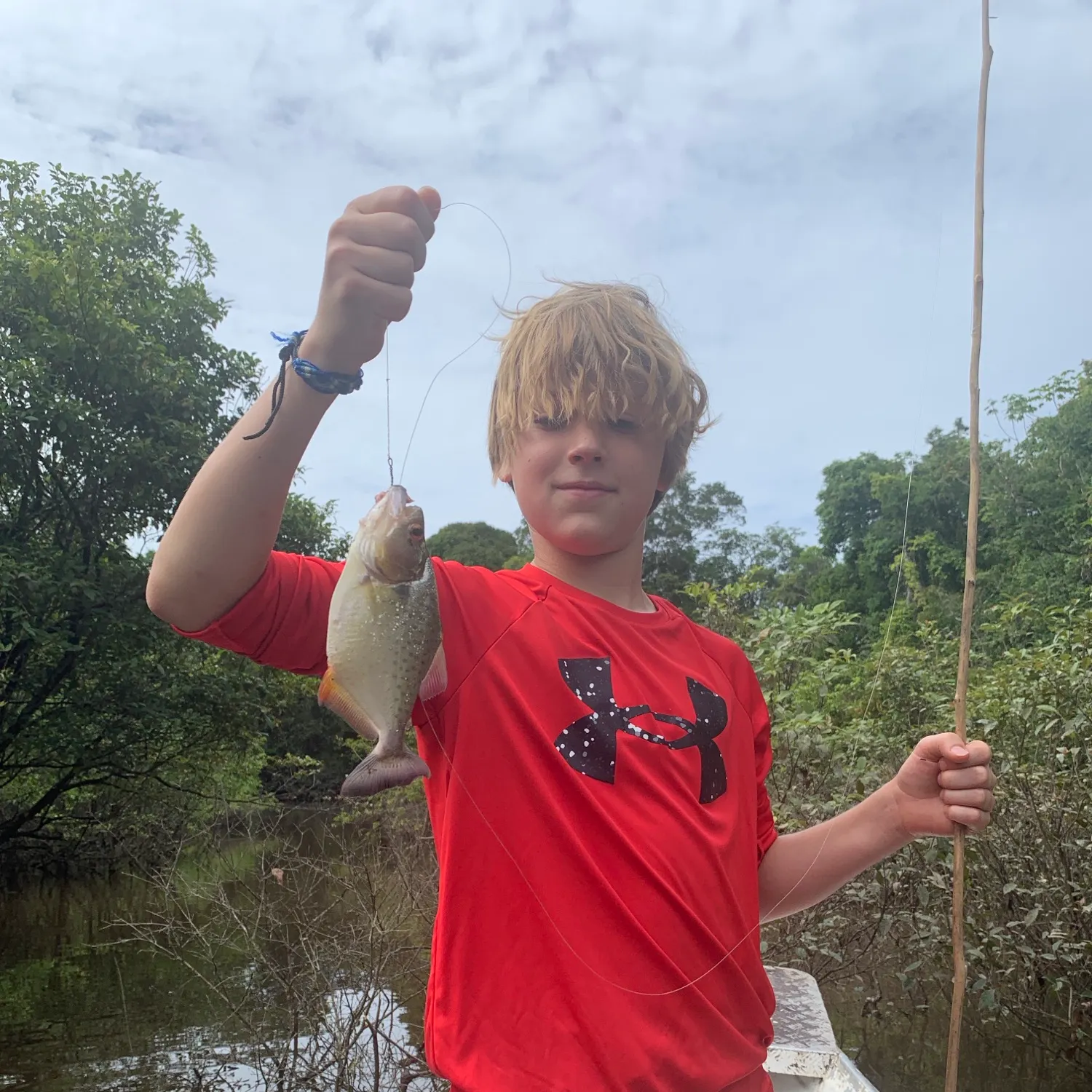 Red-bellied piranha caught on Fishbrain