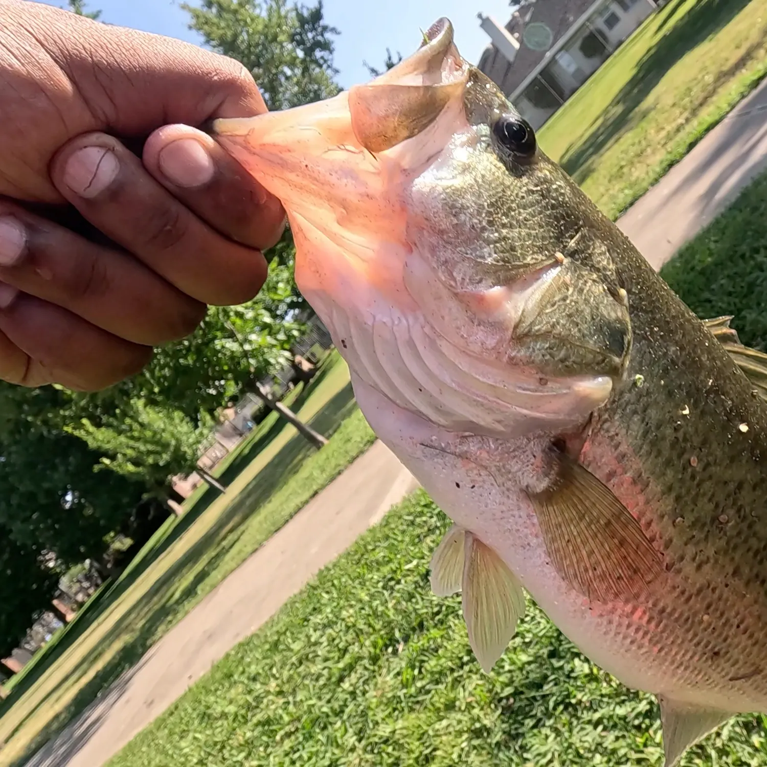 catch
