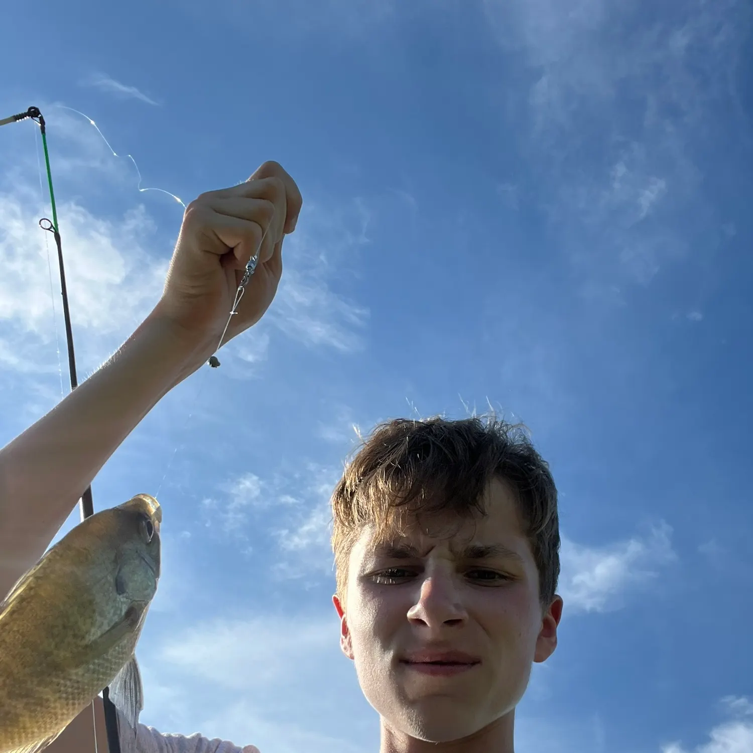 Bluegill caught on Fishbrain