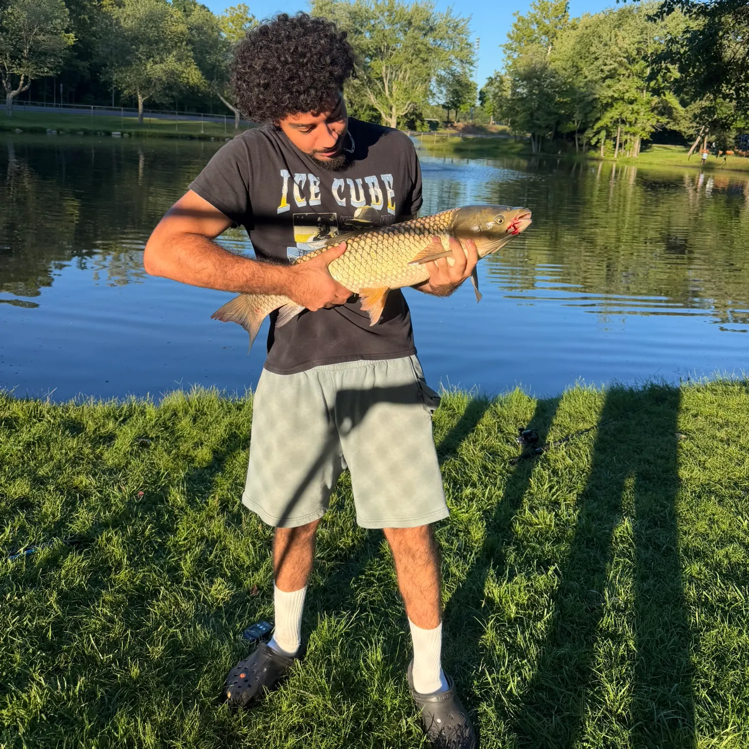 Grass carp caught on Fishbrain