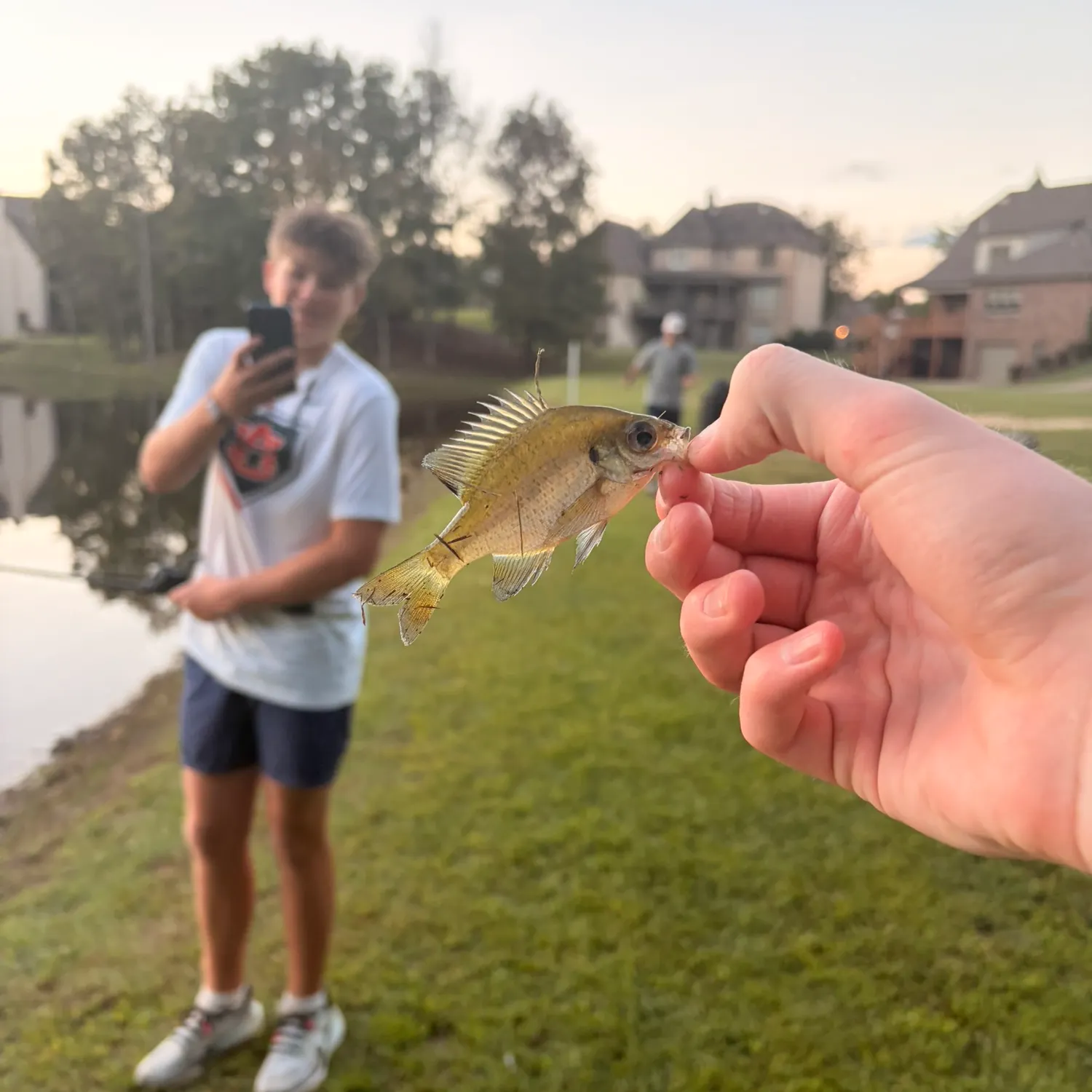 Fish caught on Fishbrain