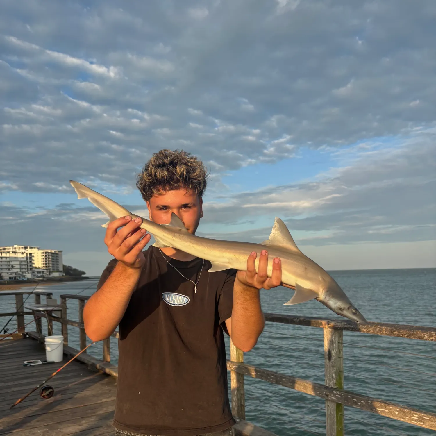 The most recent Dusky smooth-hound catches on Fishbrain