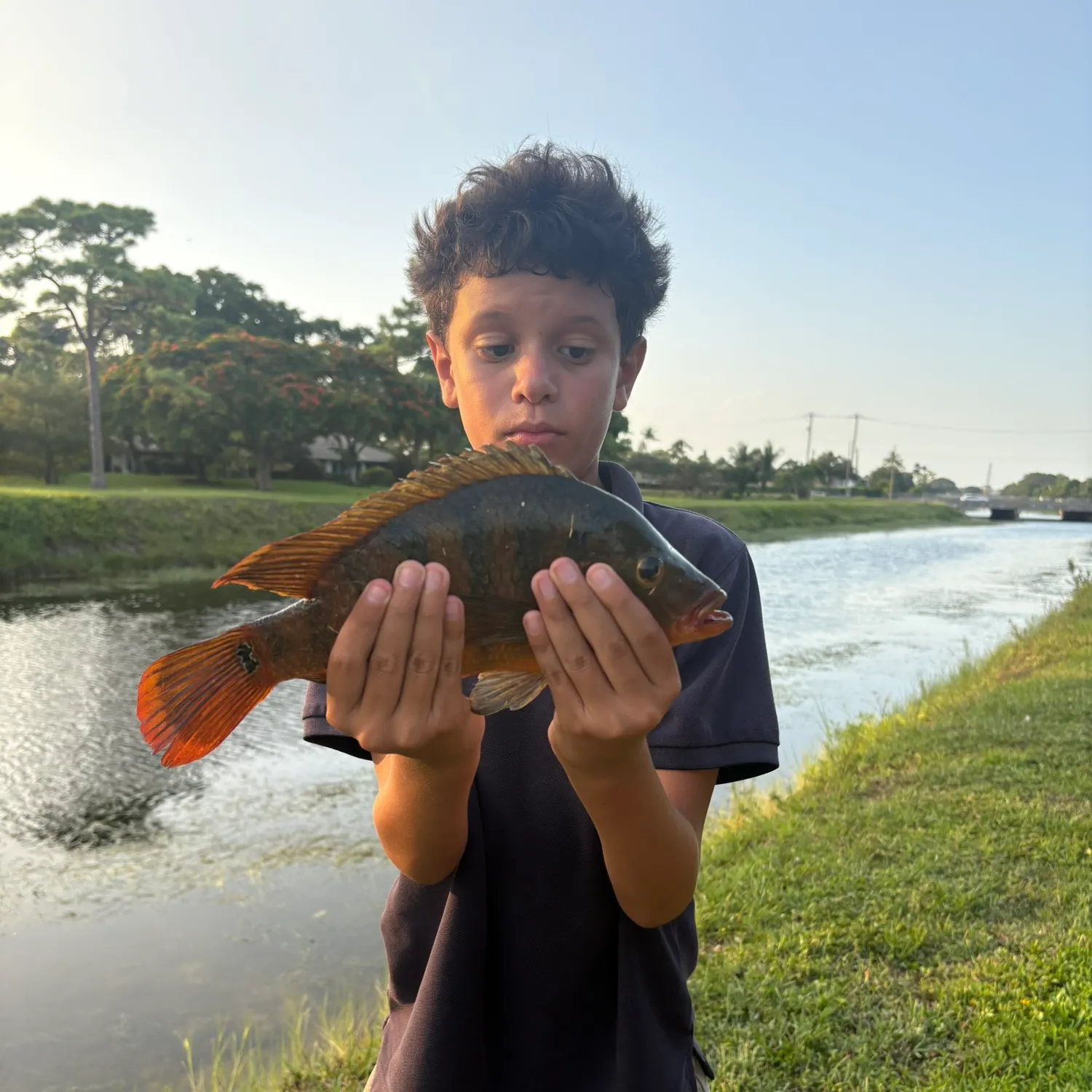 Mayan cichlid caught on Fishbrain