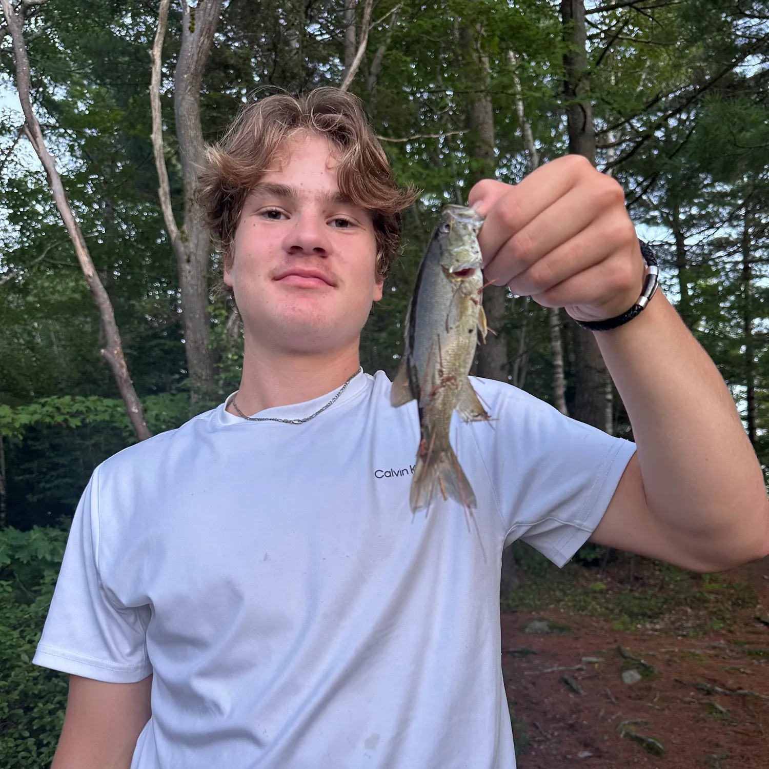 Smallmouth bass caught on Fishbrain