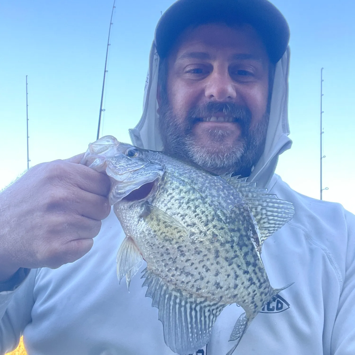 Black crappie caught on Fishbrain