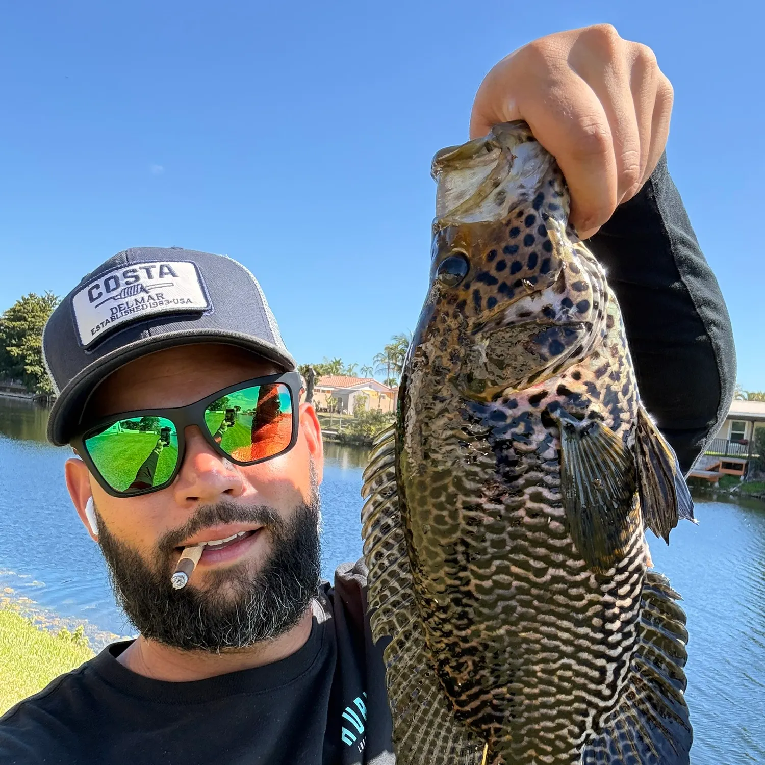 The most recent Jaguar cichlid catches on Fishbrain