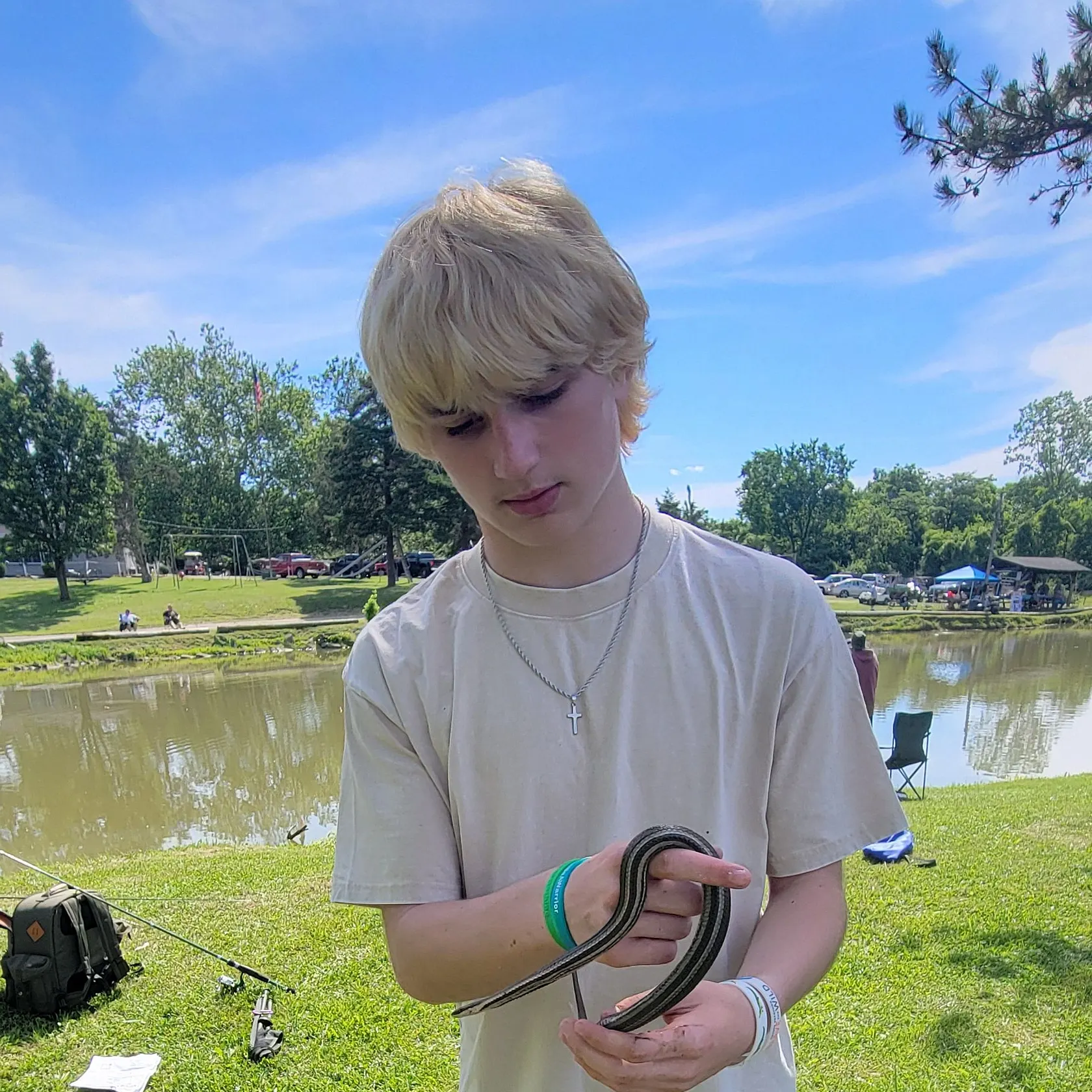 The most recent American eel catches on Fishbrain
