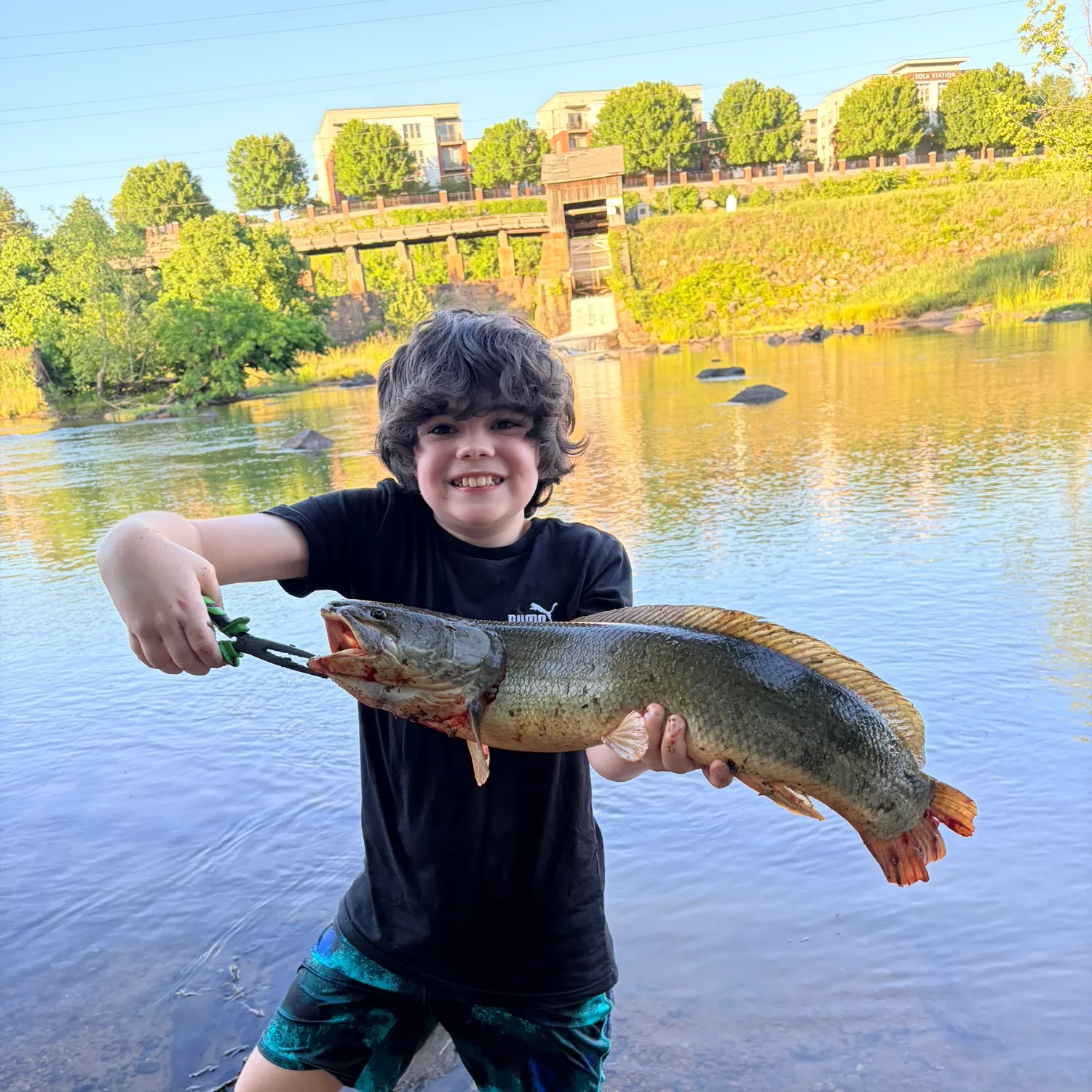 catch