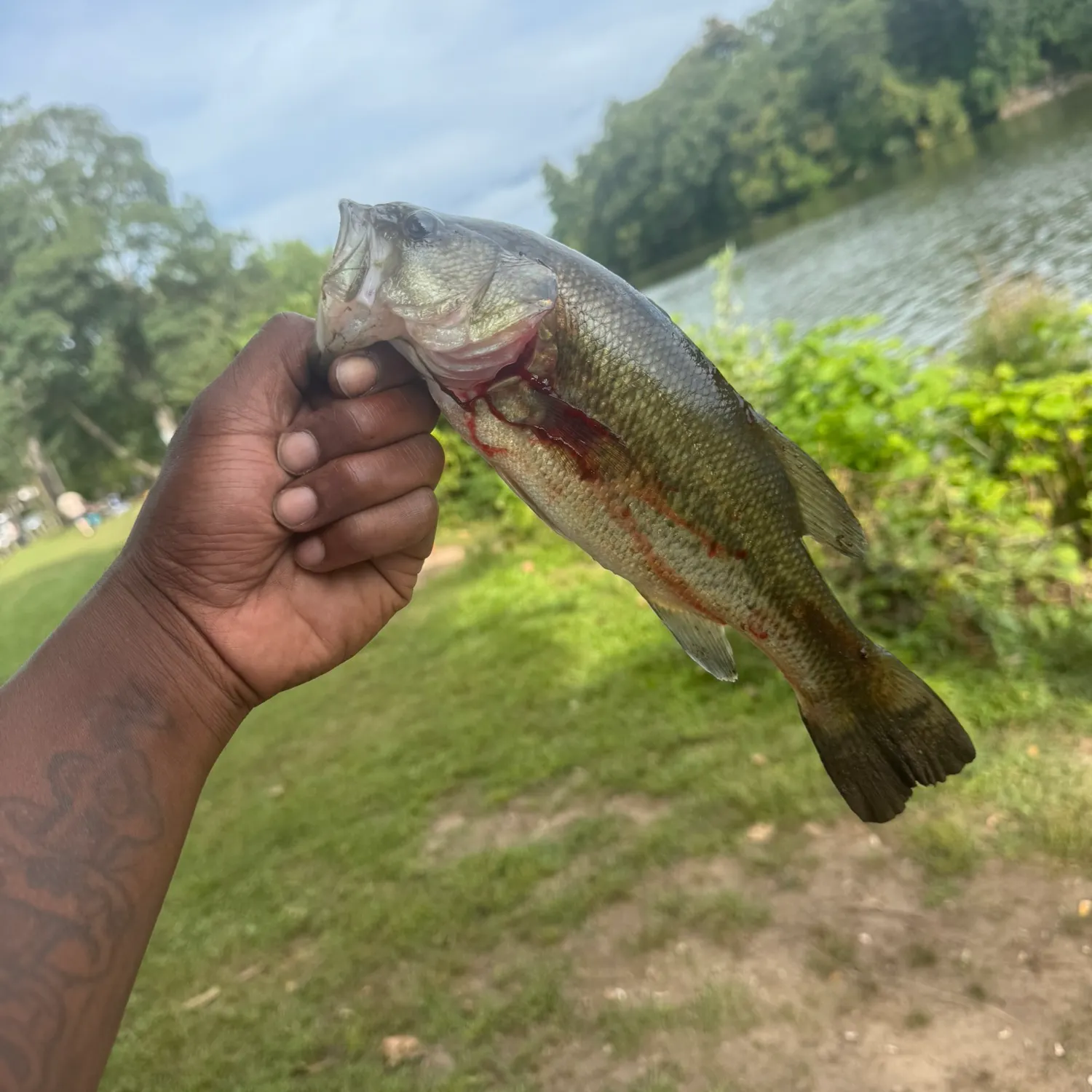 catch