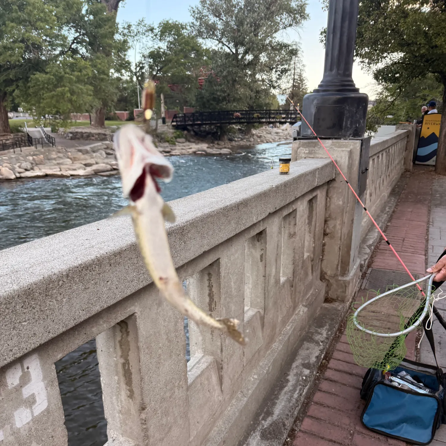 catch