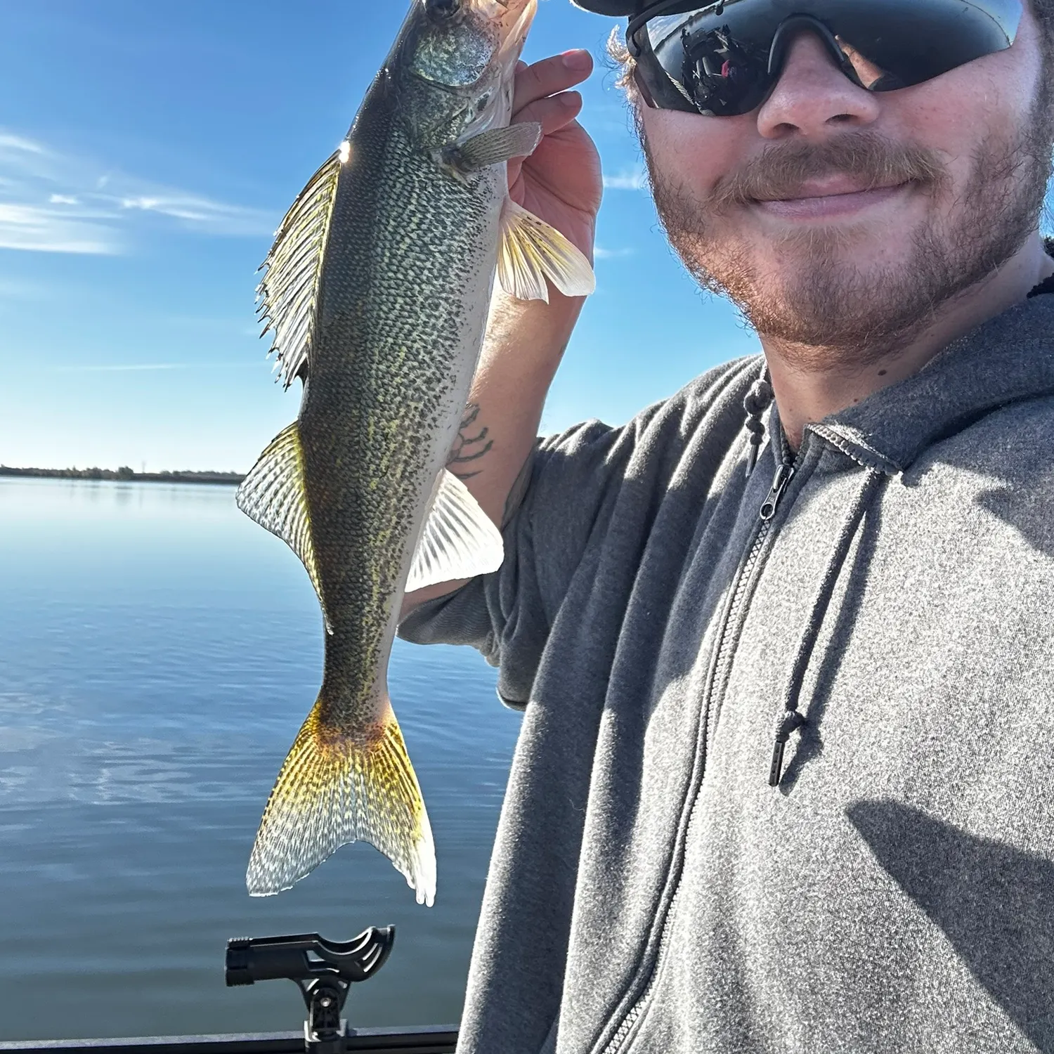 Walleye caught on Fishbrain