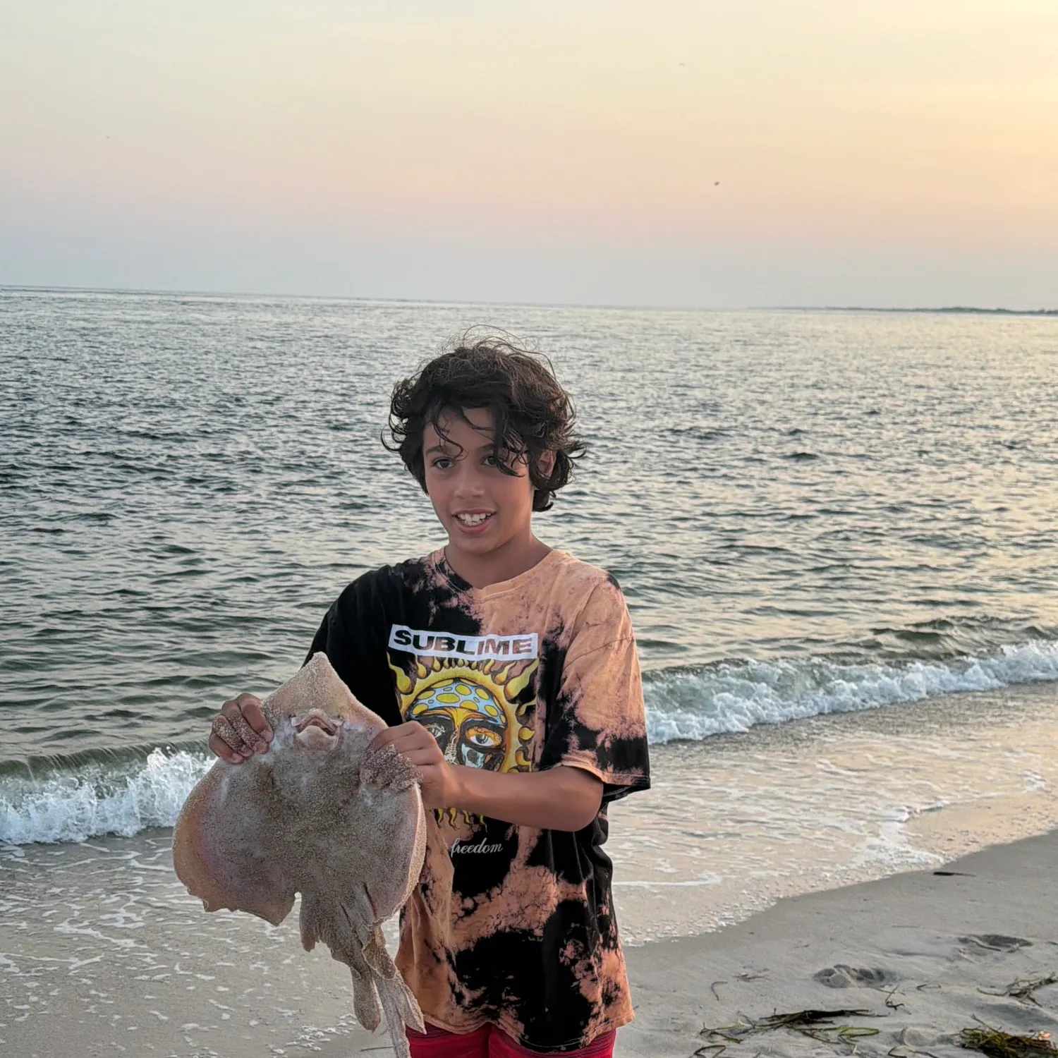 The most recent Little Skate catches on Fishbrain
