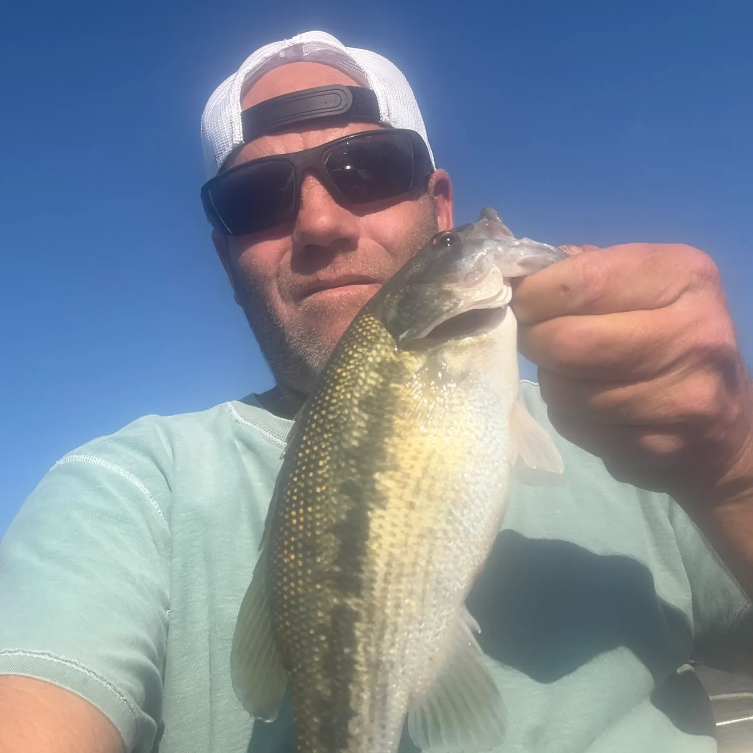 Fish caught on Fishbrain