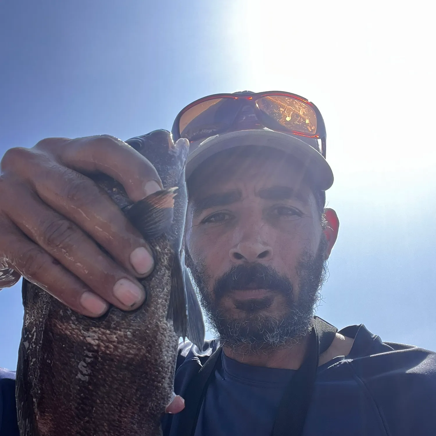 The most recent Black croaker catches on Fishbrain