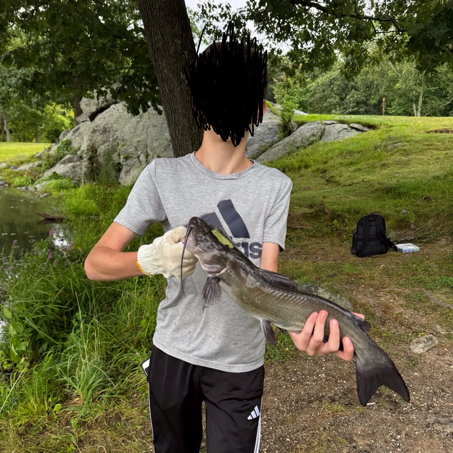 Channel catfish caught on Fishbrain