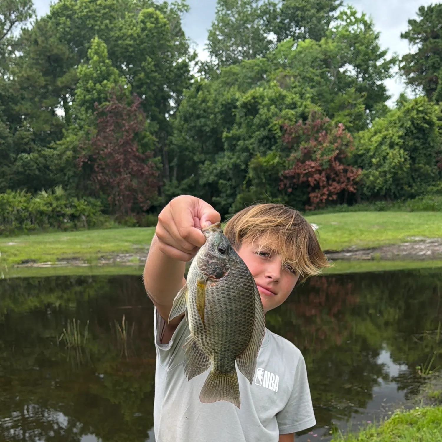 The most recent Longfin tilapia catches on Fishbrain