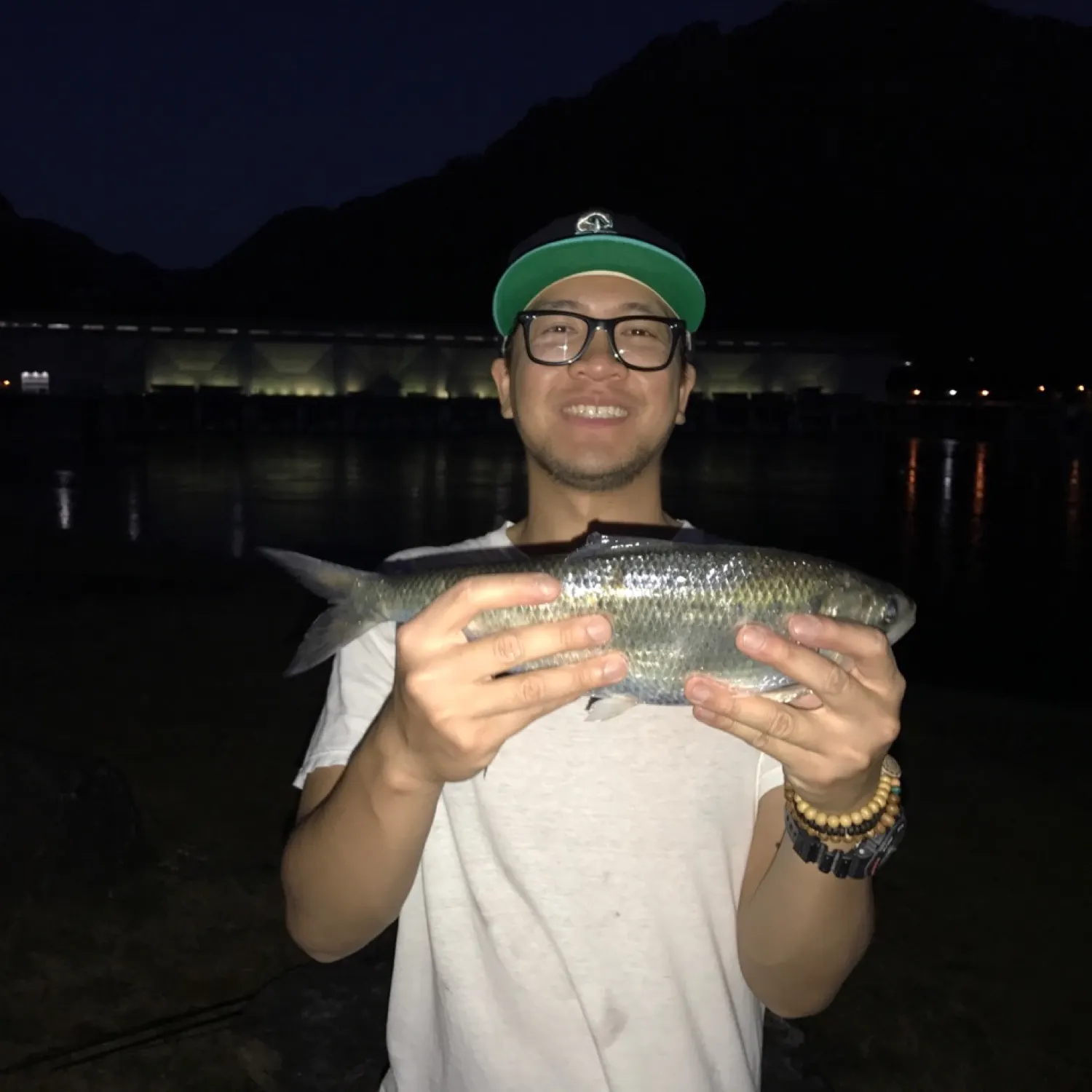 The most recent Hickory shad catches on Fishbrain