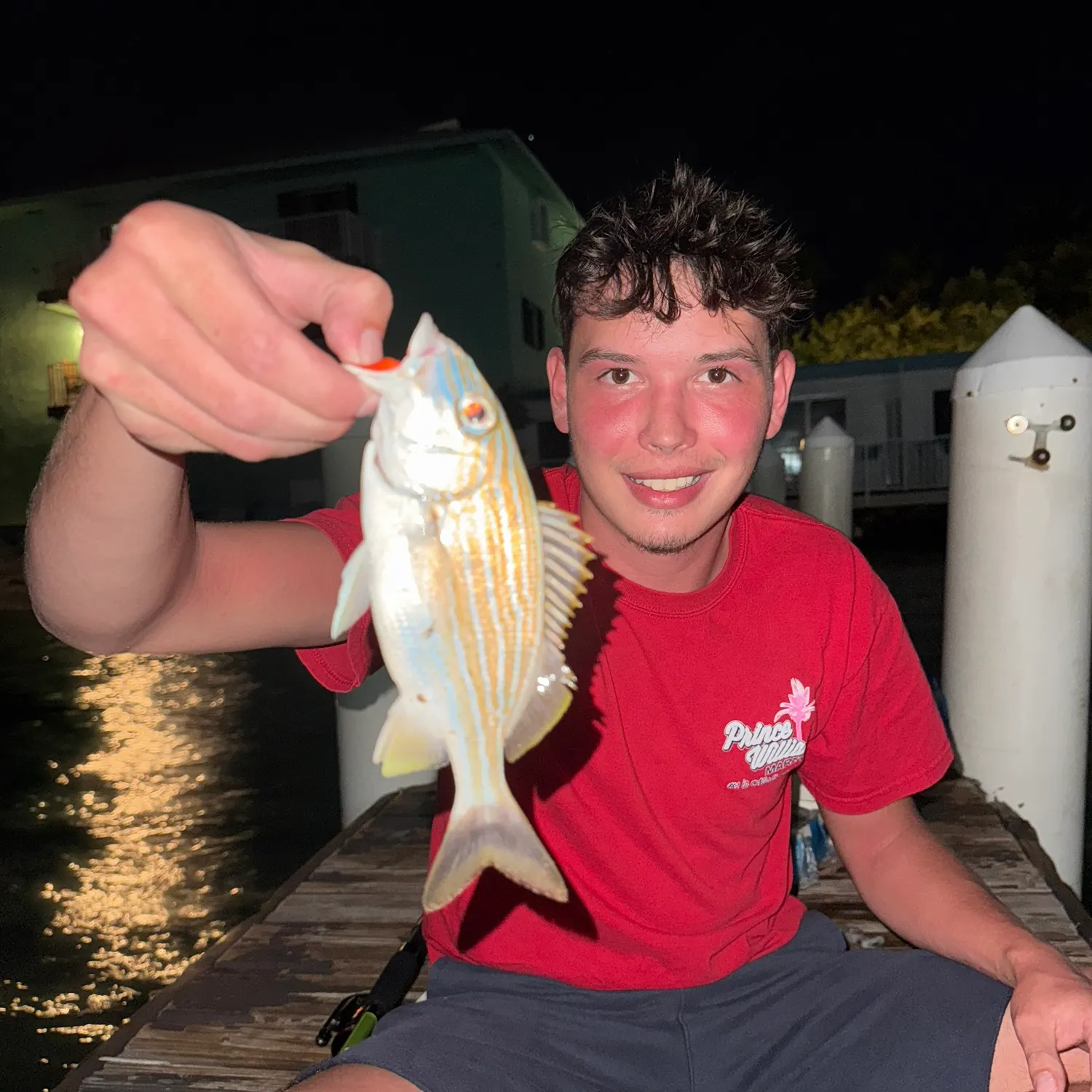 The most recent Pinfish catches on Fishbrain