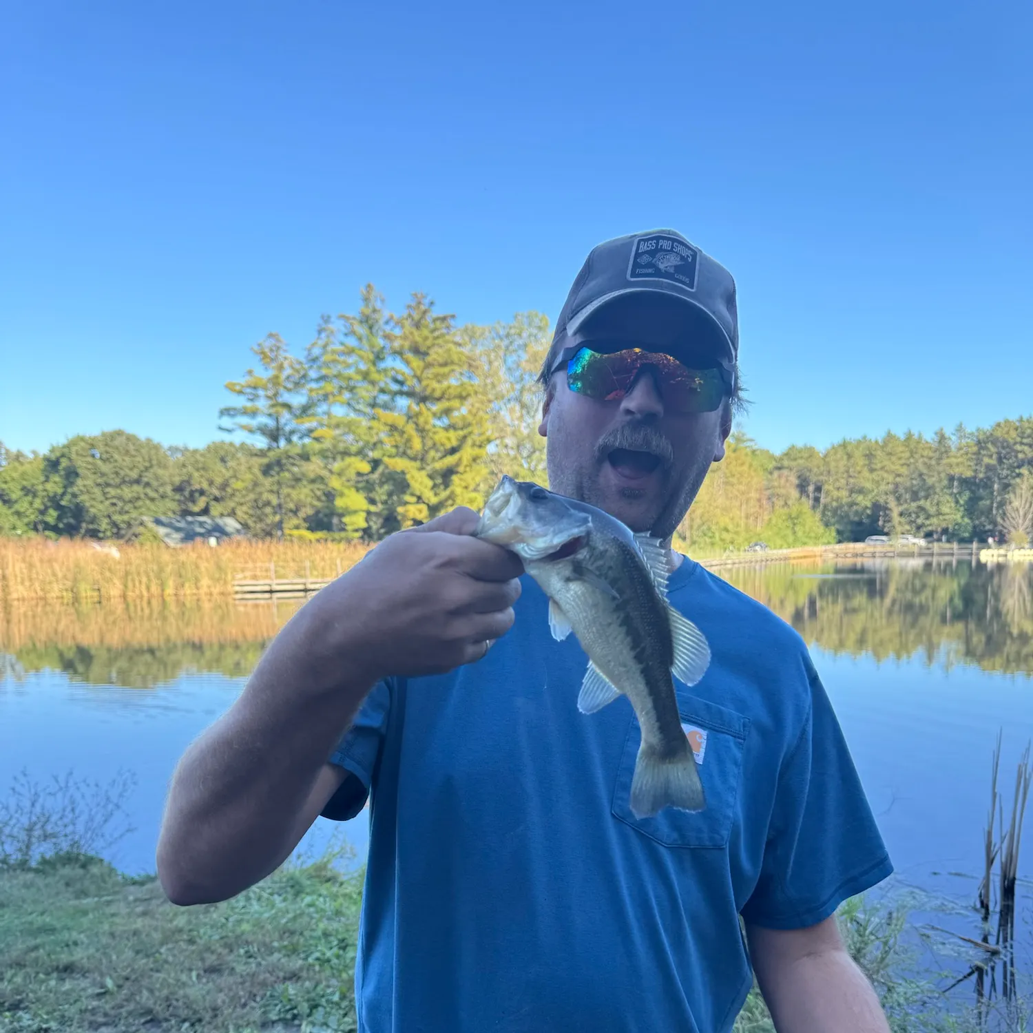 Largemouth bass caught on Fishbrain