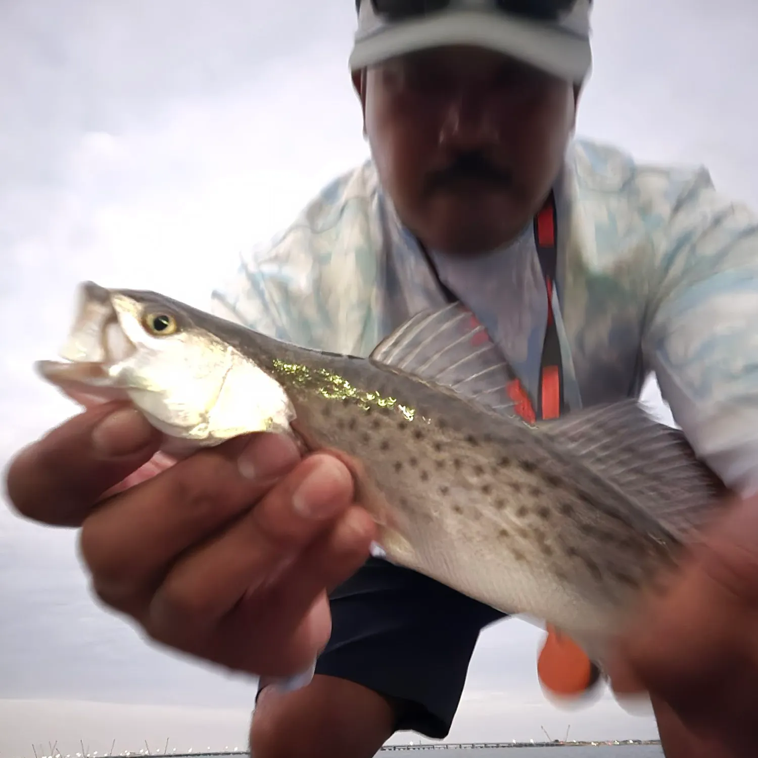 Spotted seatrout caught on Fishbrain