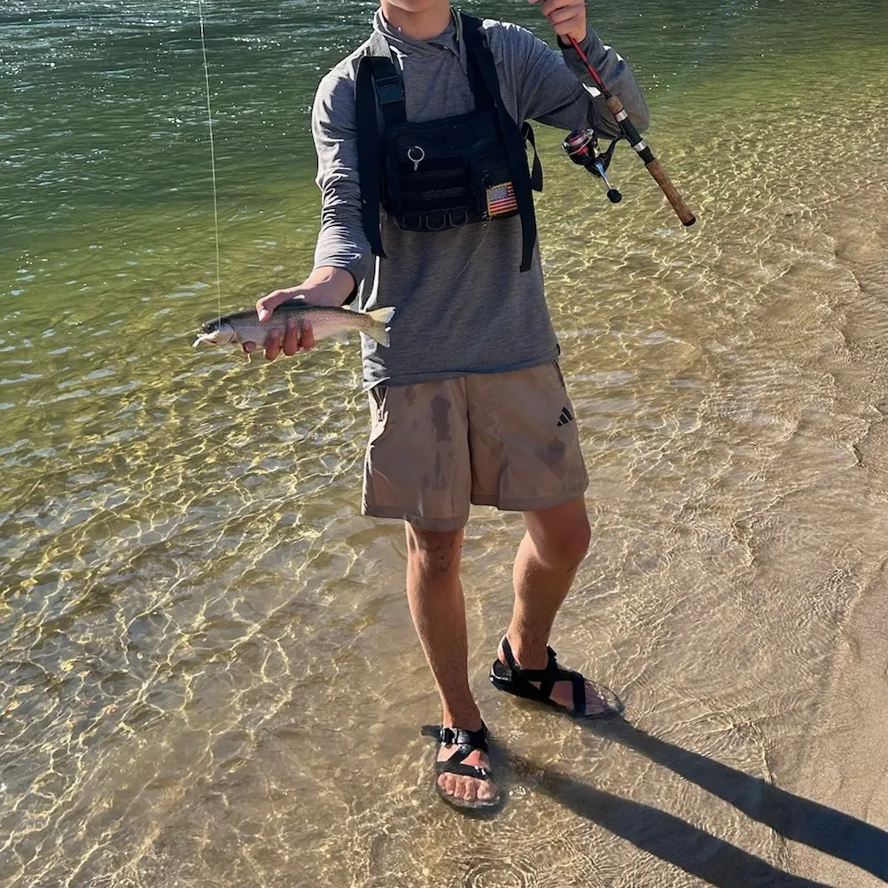The most recent Westlope cutthroat trout catches on Fishbrain