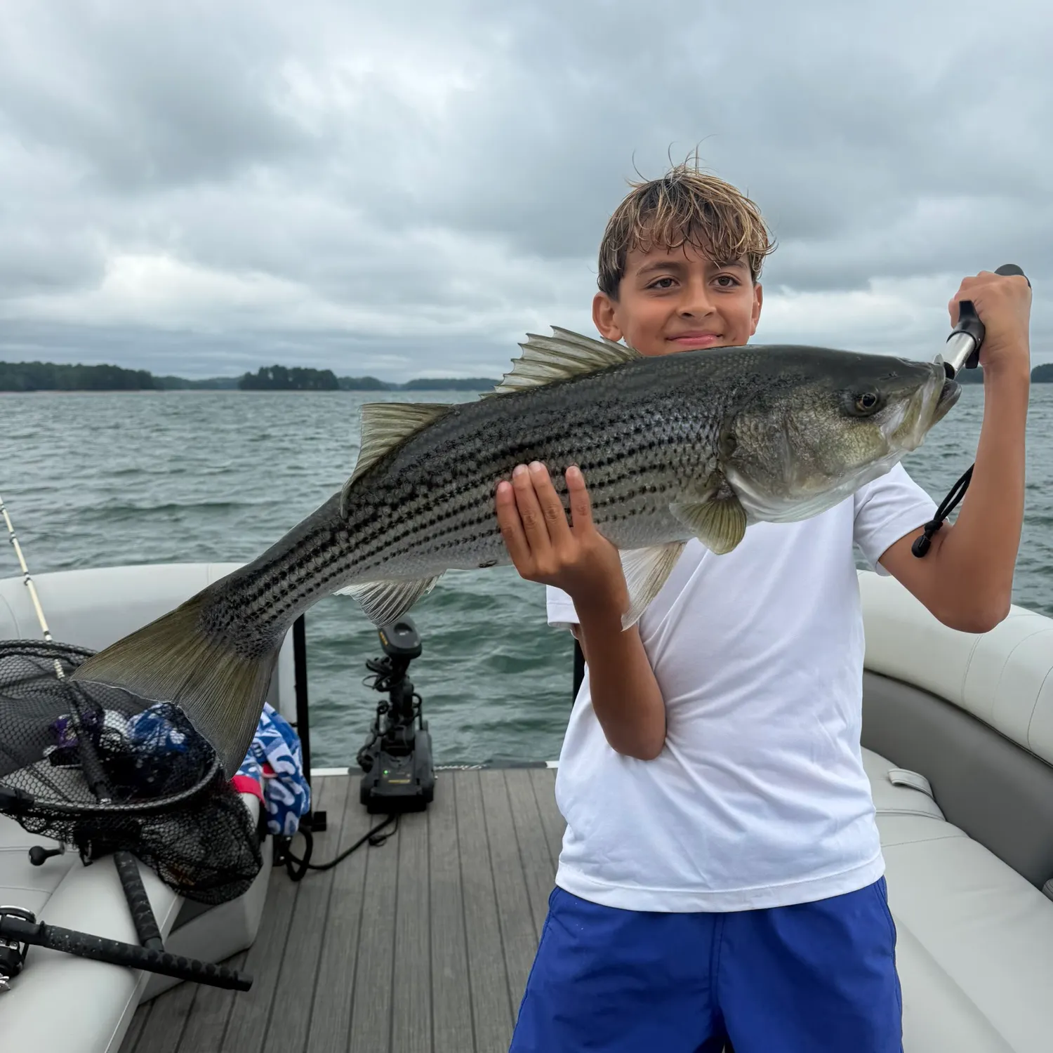Striped bass caught on Fishbrain