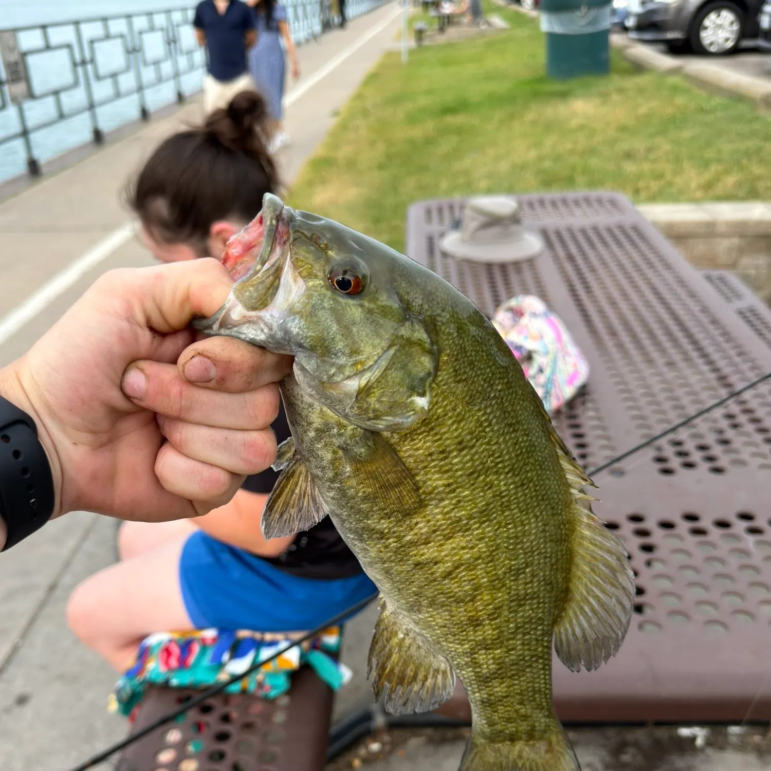 catch