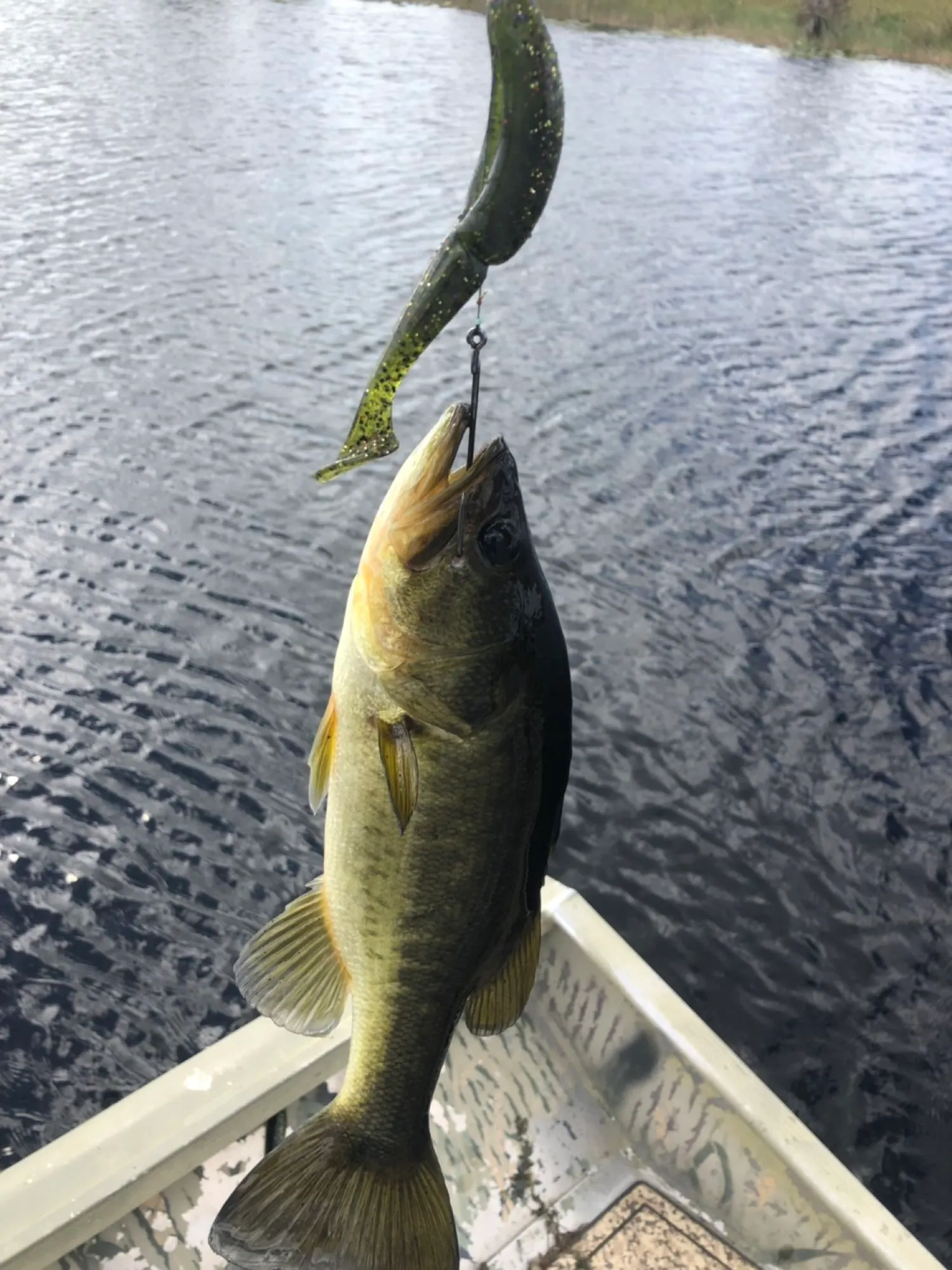 Post image from OsceolaOutbackAdventures