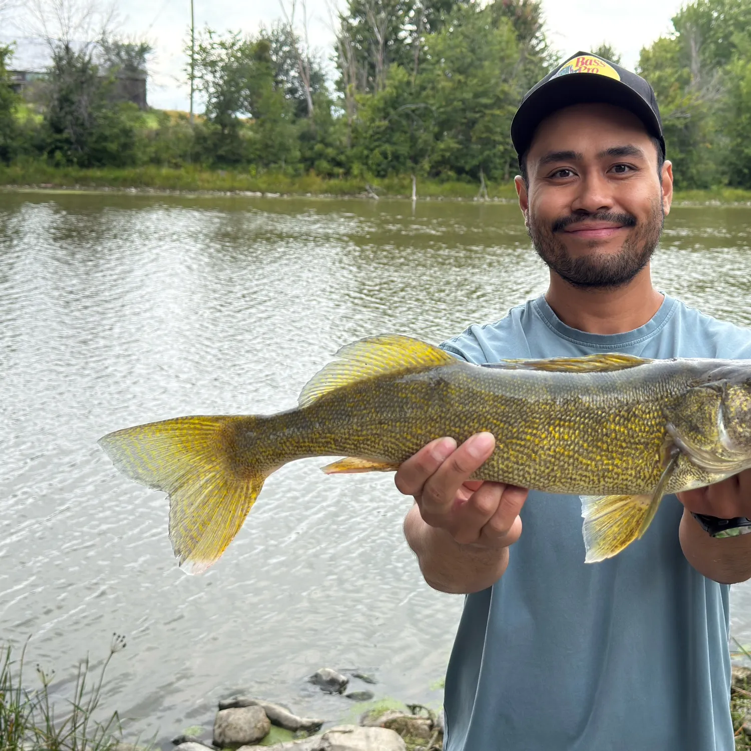 Walleye caught on Fishbrain