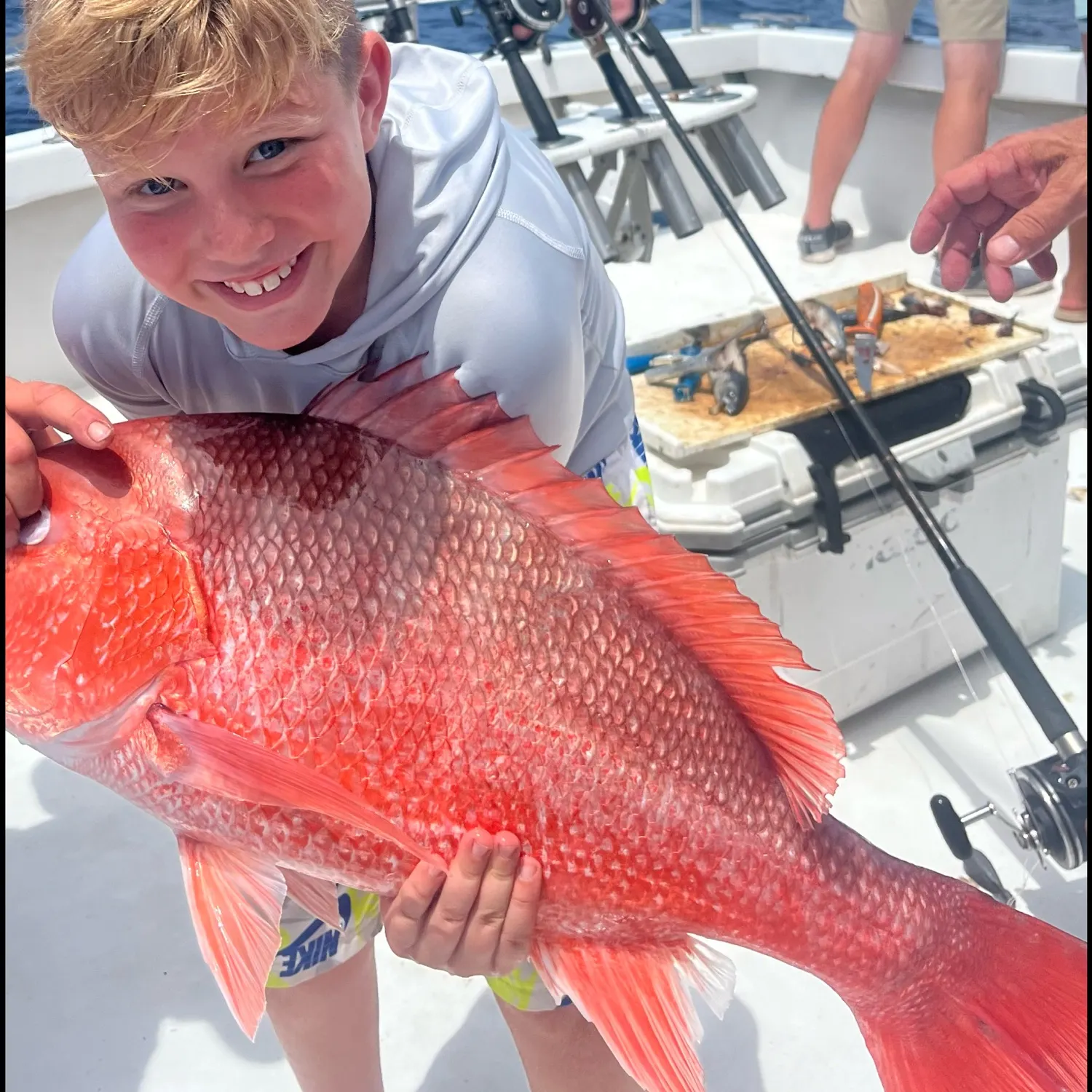 The most recent Queen Snapper catches on Fishbrain