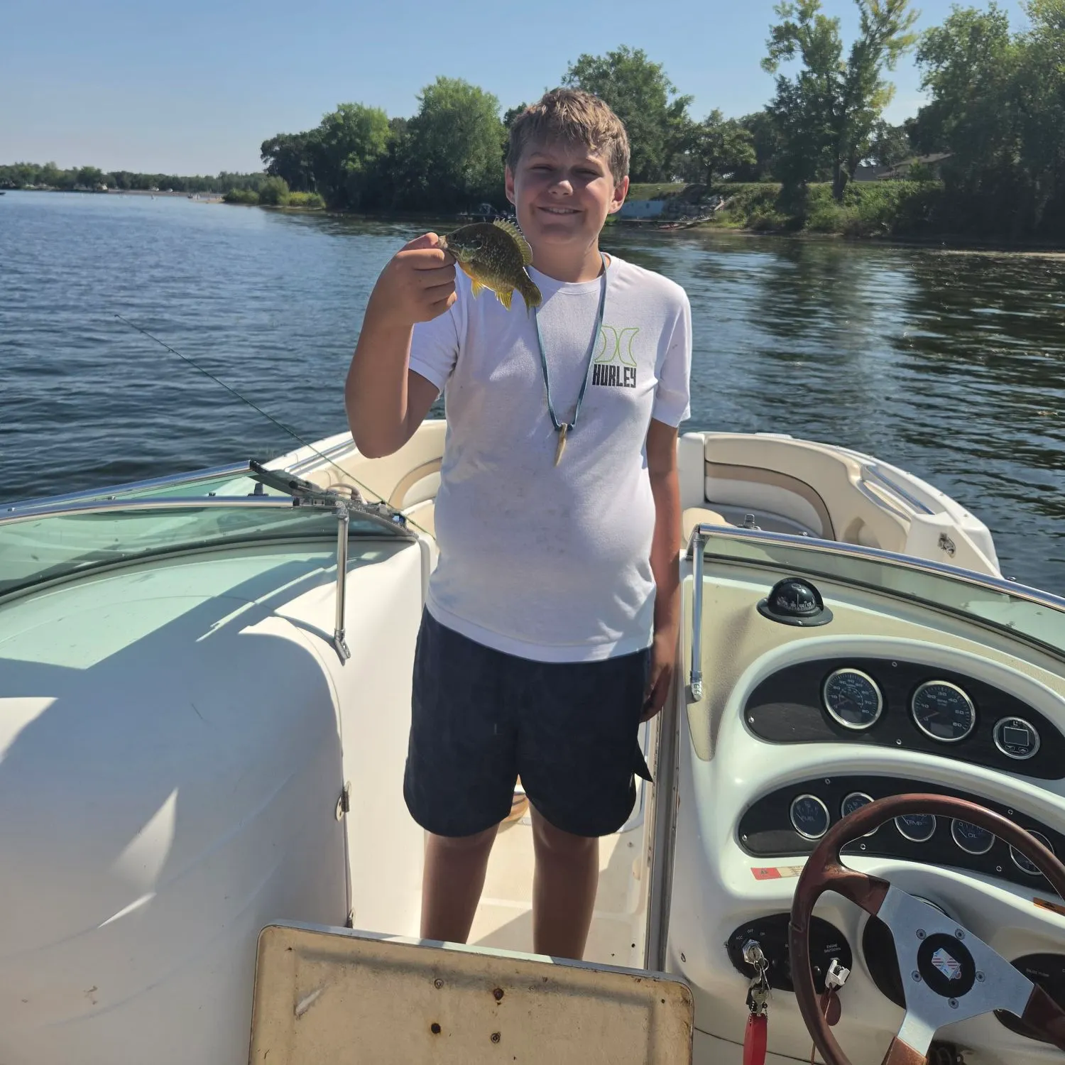 Greengill hybrid caught on Fishbrain