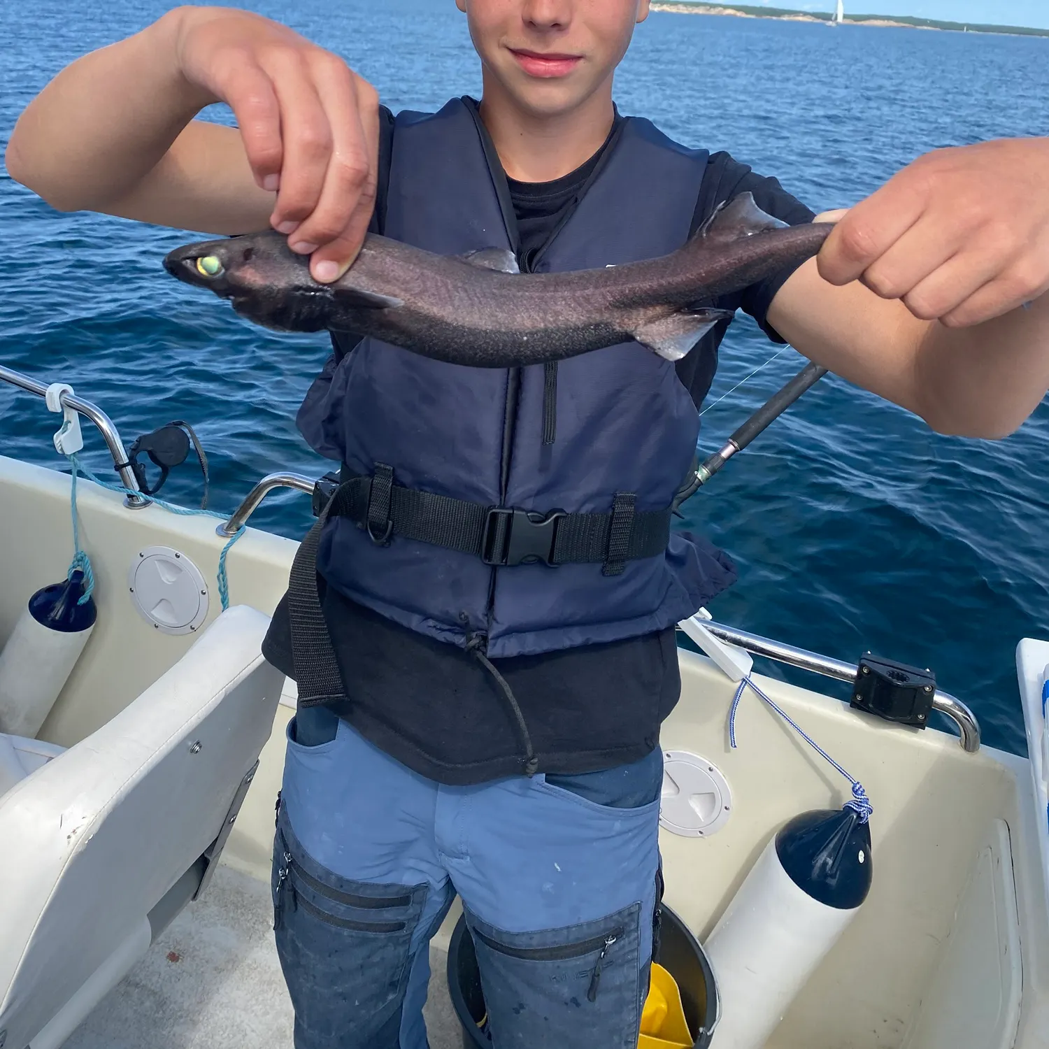 The most recent Velvet belly lanternshark catches on Fishbrain