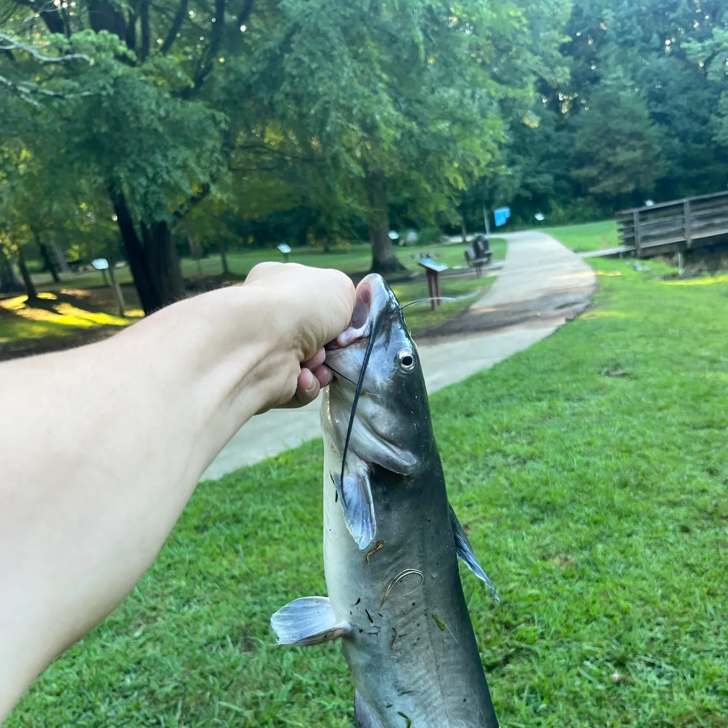 catch