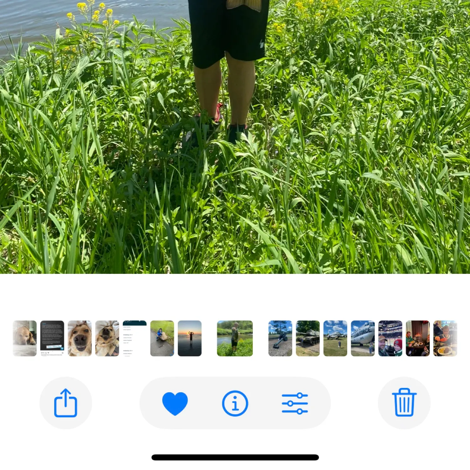 recently logged catches