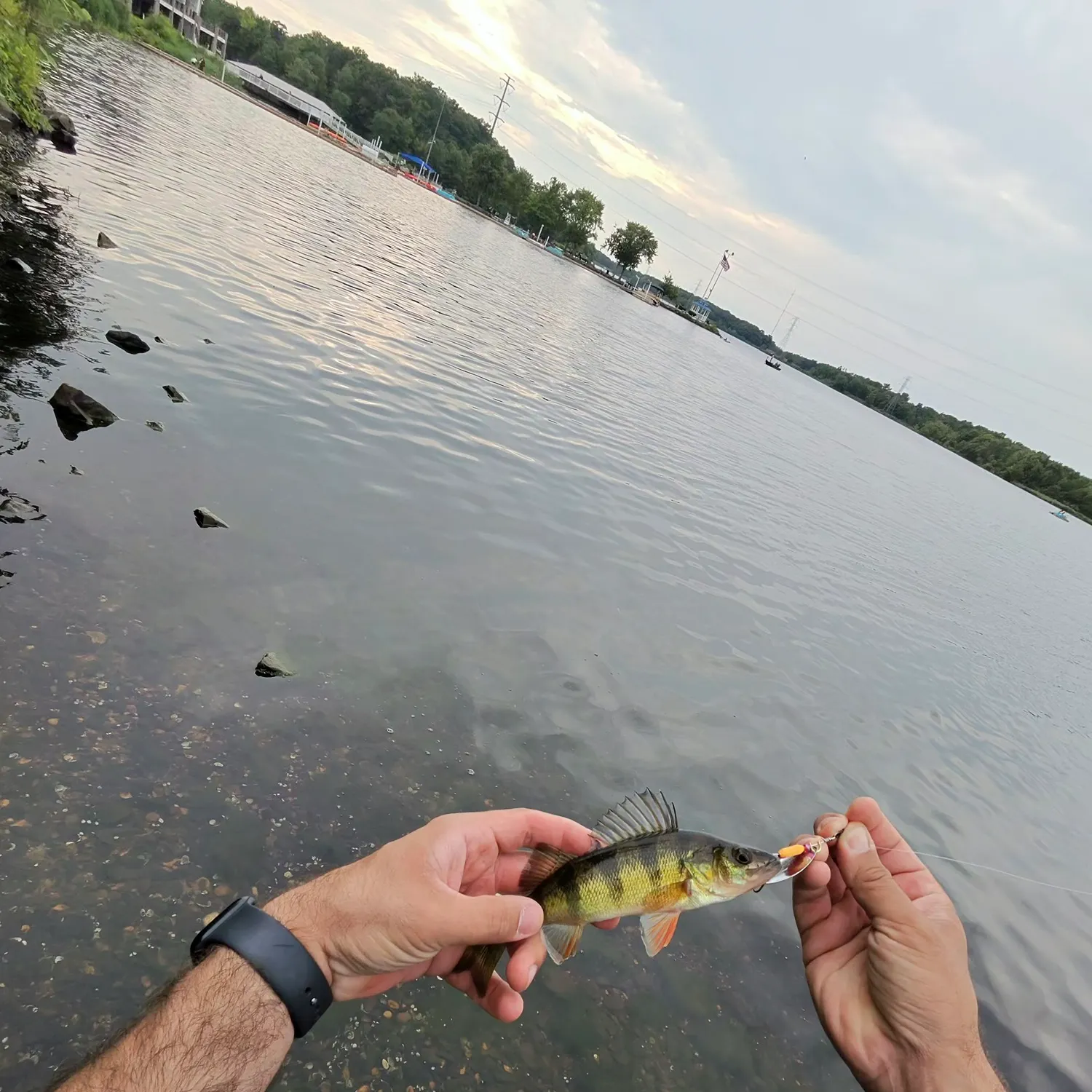 catch
