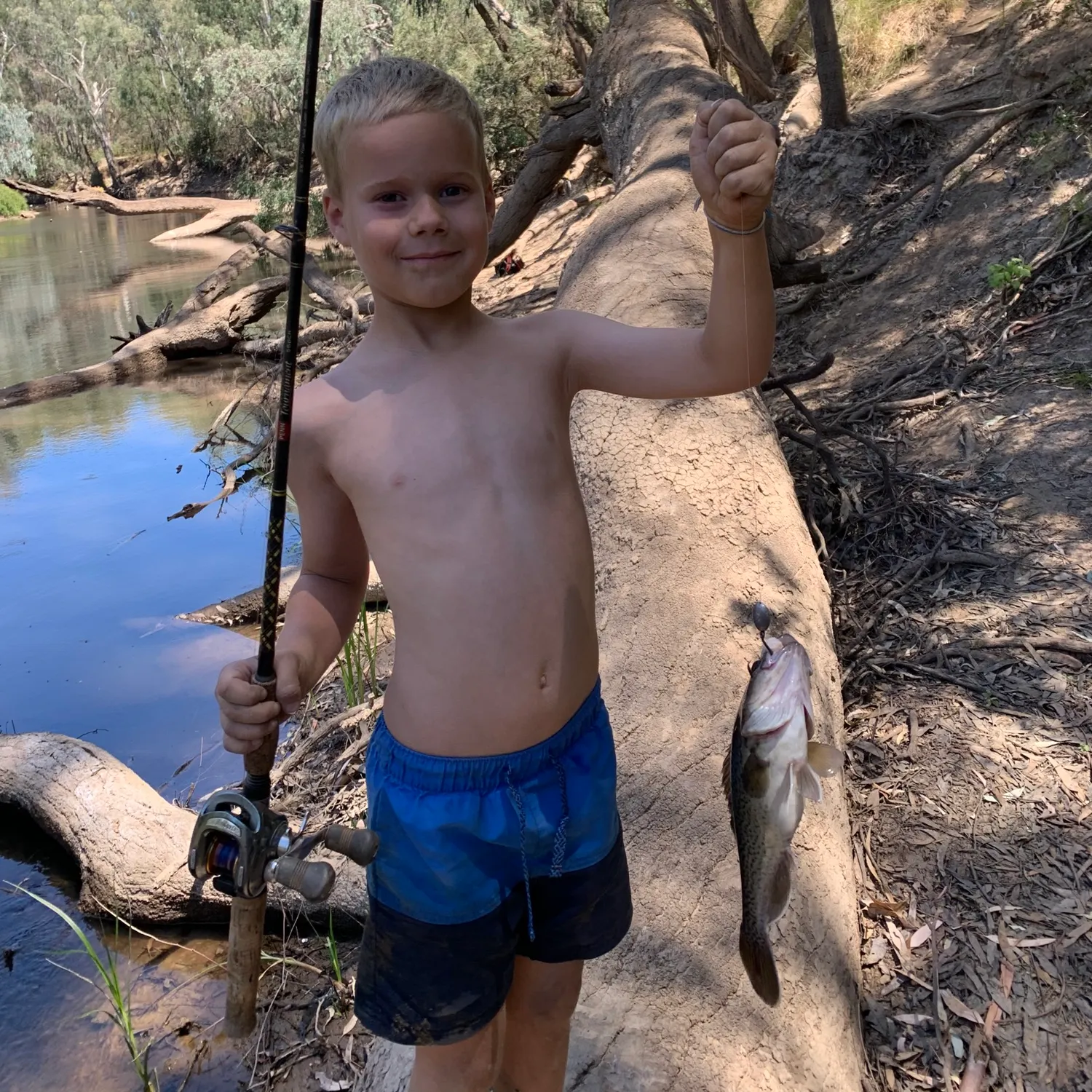 The most recent Murray cod catches on Fishbrain