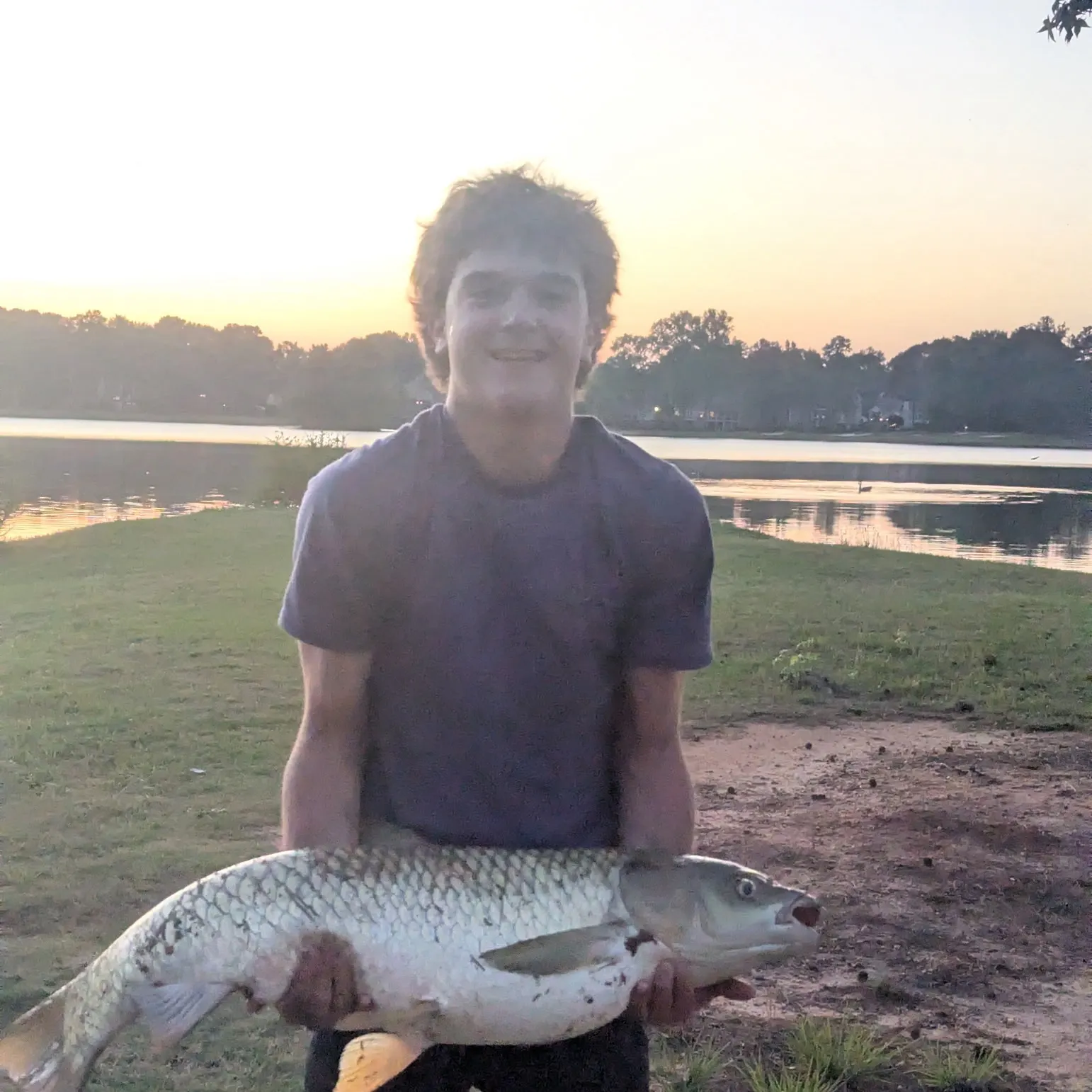 The most recent Grass carp catches on Fishbrain