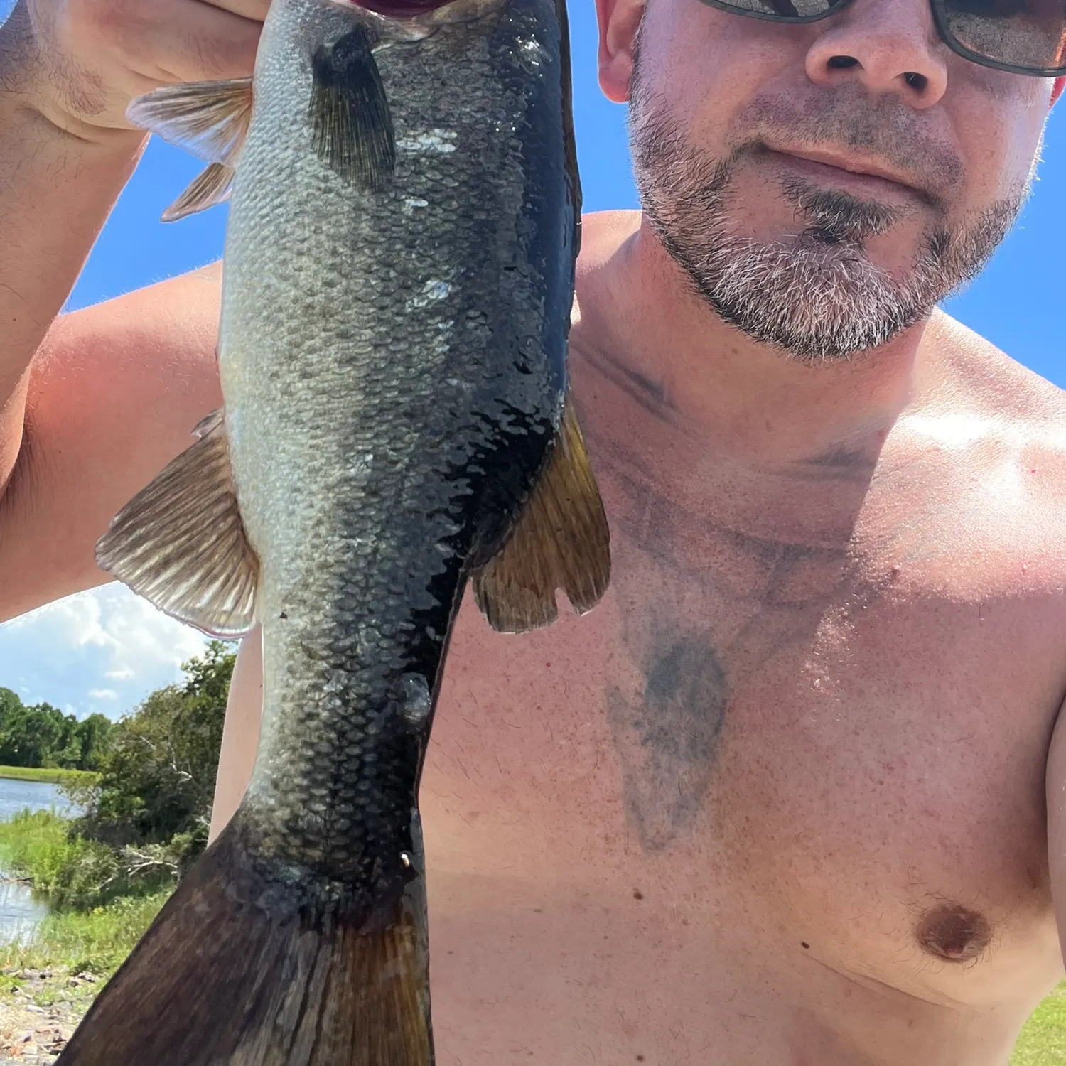 Largemouth bass caught on Fishbrain
