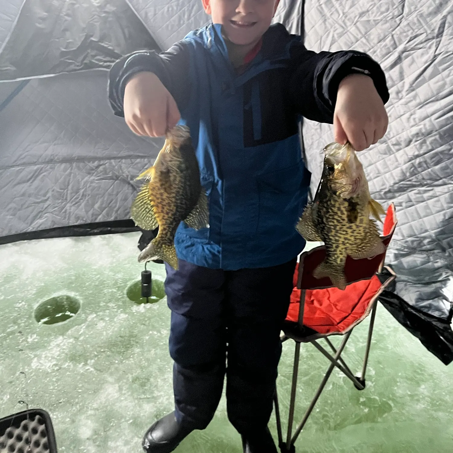 Black crappie caught on Fishbrain