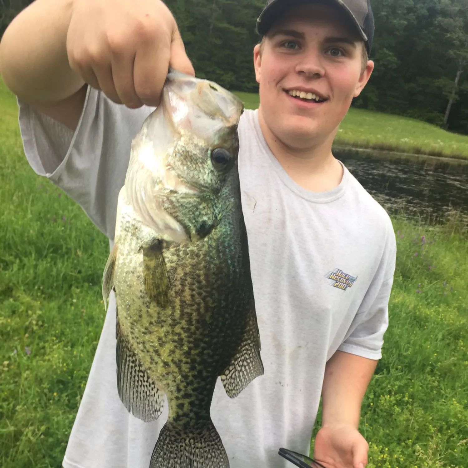White crappie caught on Fishbrain
