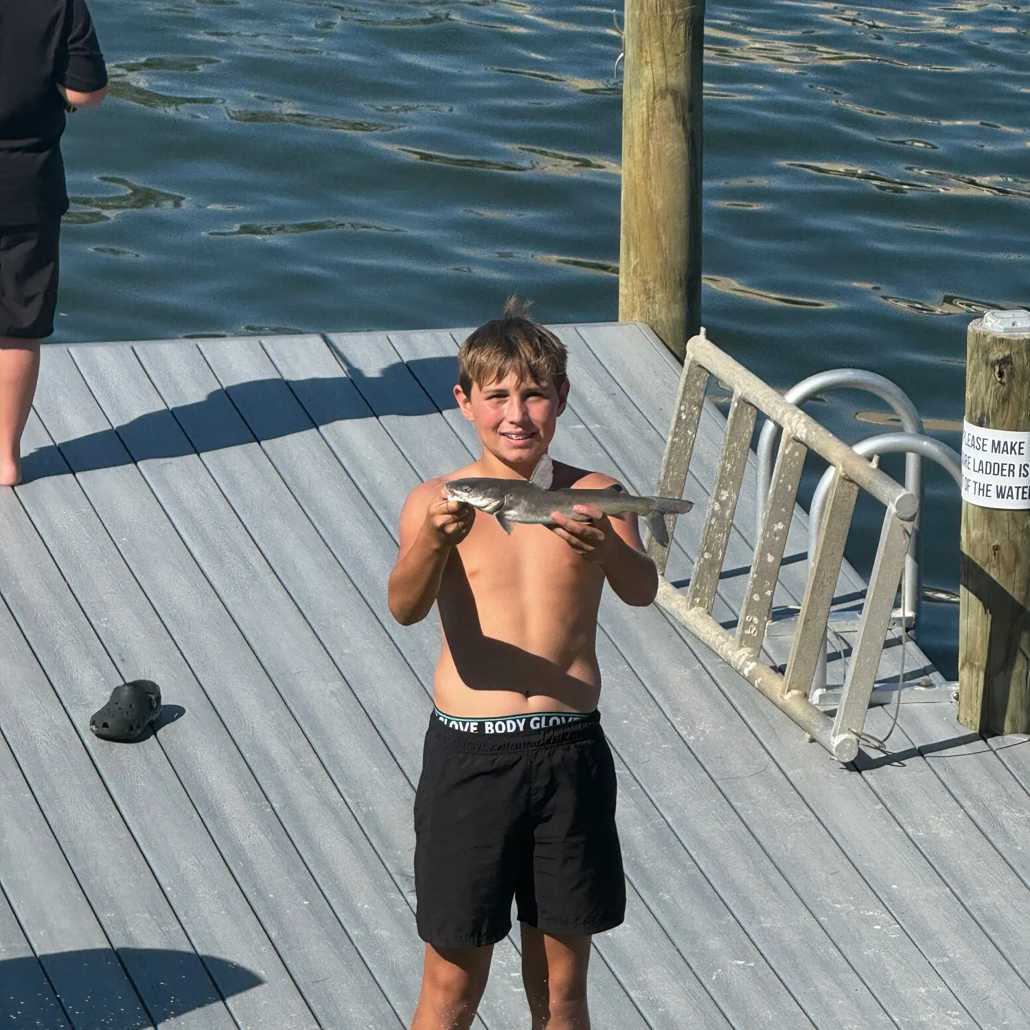 The most recent Hardhead sea catfish catches on Fishbrain