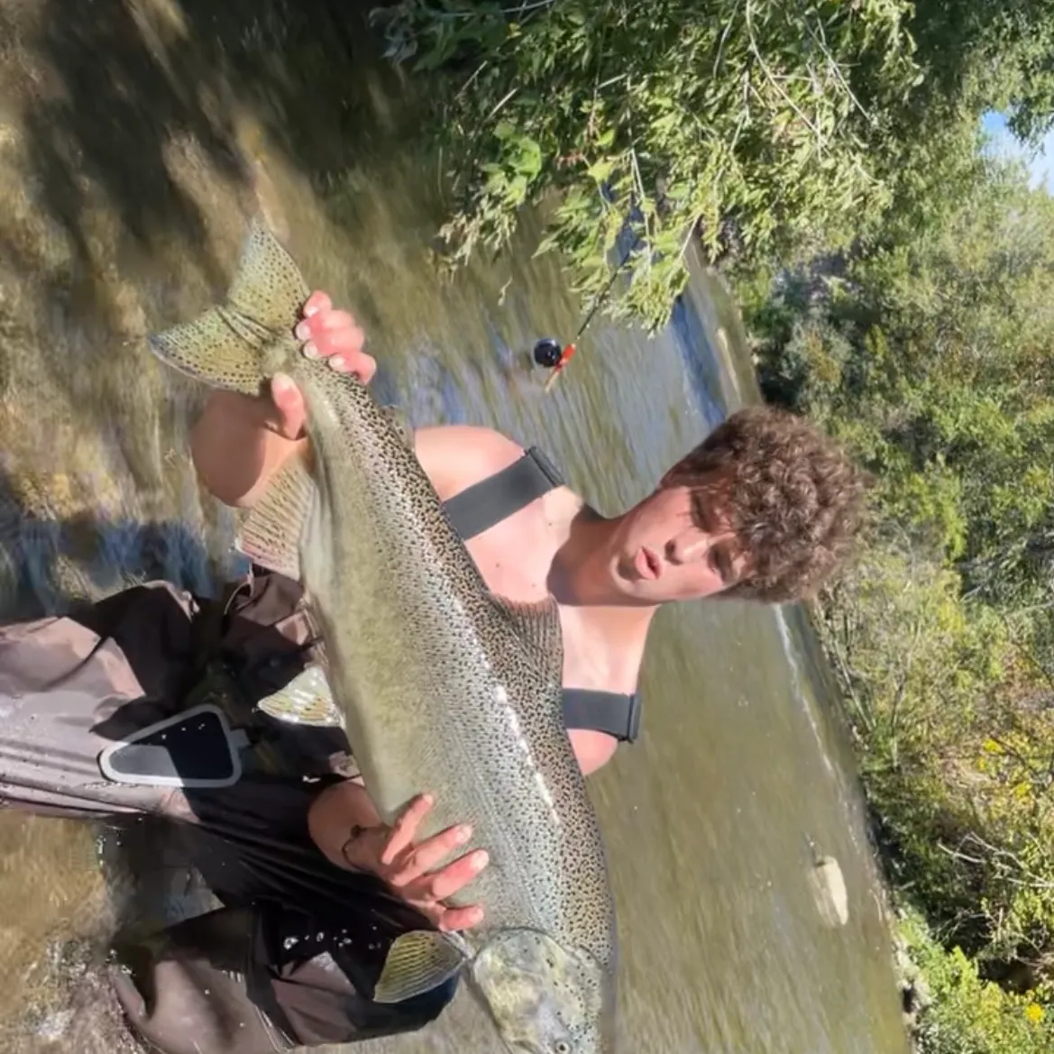 Chinook salmon caught on Fishbrain