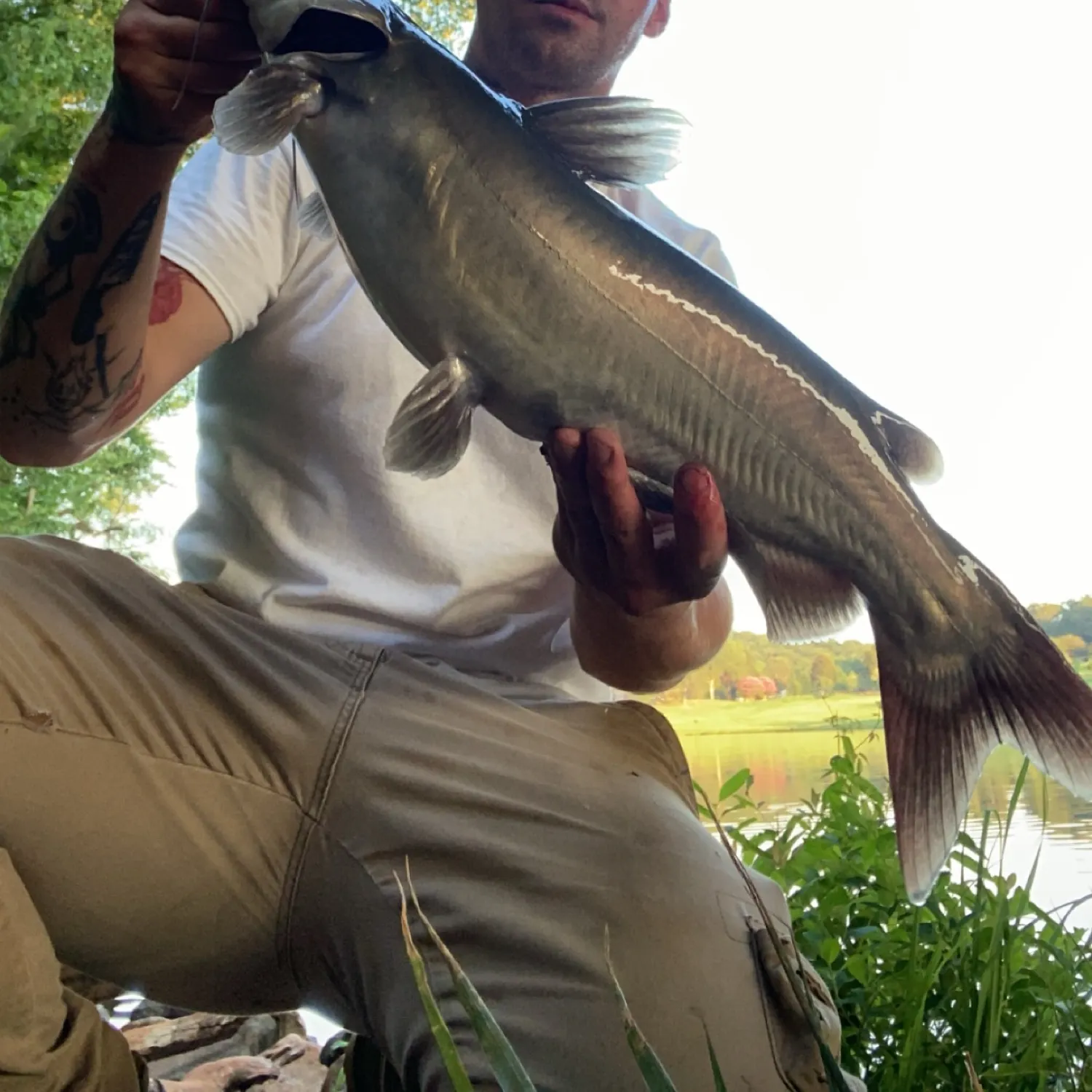 catch