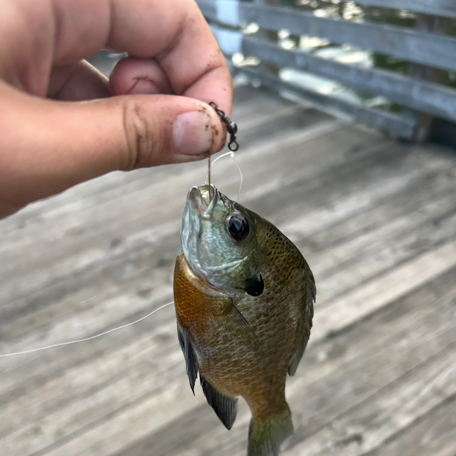 catch