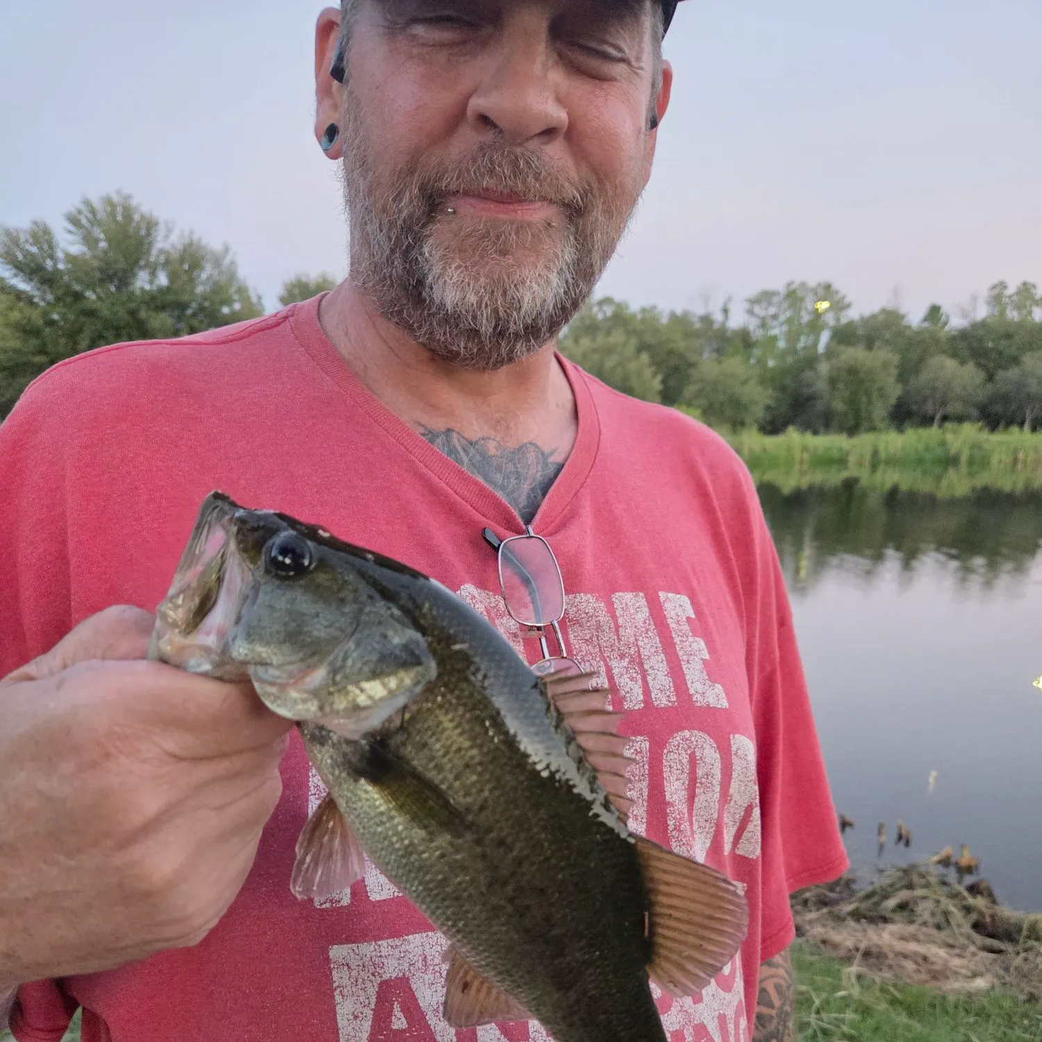 Largemouth bass caught on Fishbrain