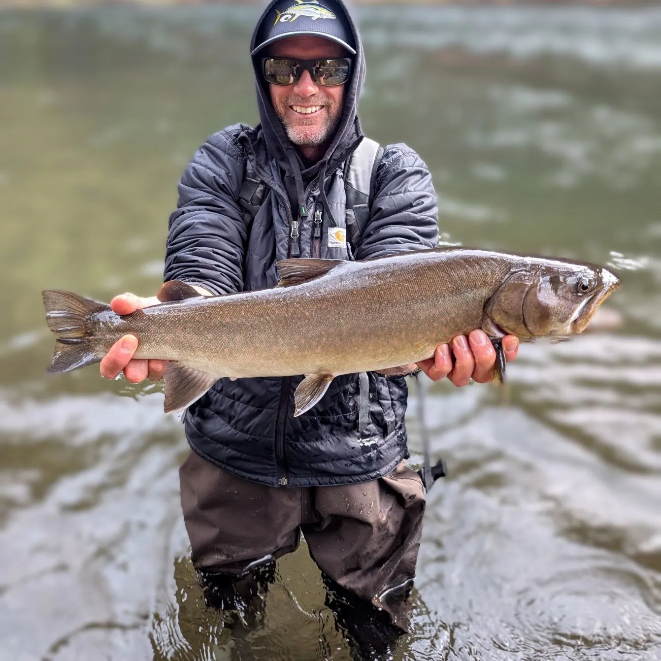 The most recent Bull trout catches on Fishbrain