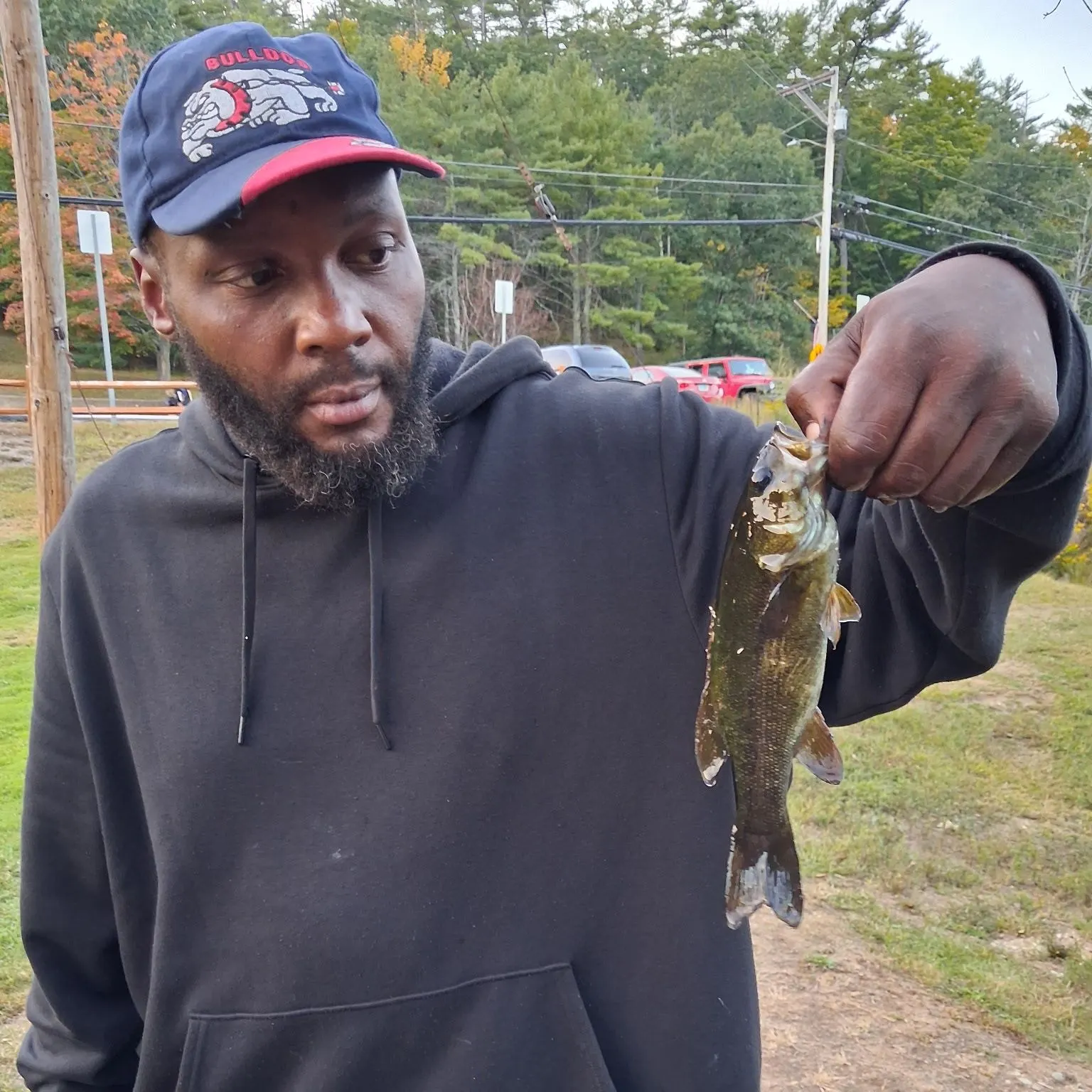 Smallmouth bass caught on Fishbrain