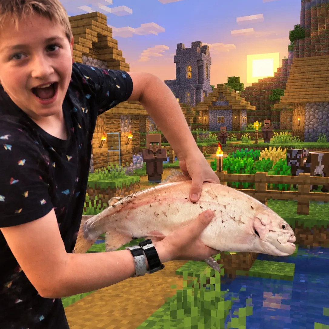 Golden rainbow trout caught on Fishbrain